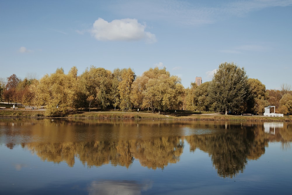 a body of water with trees around it