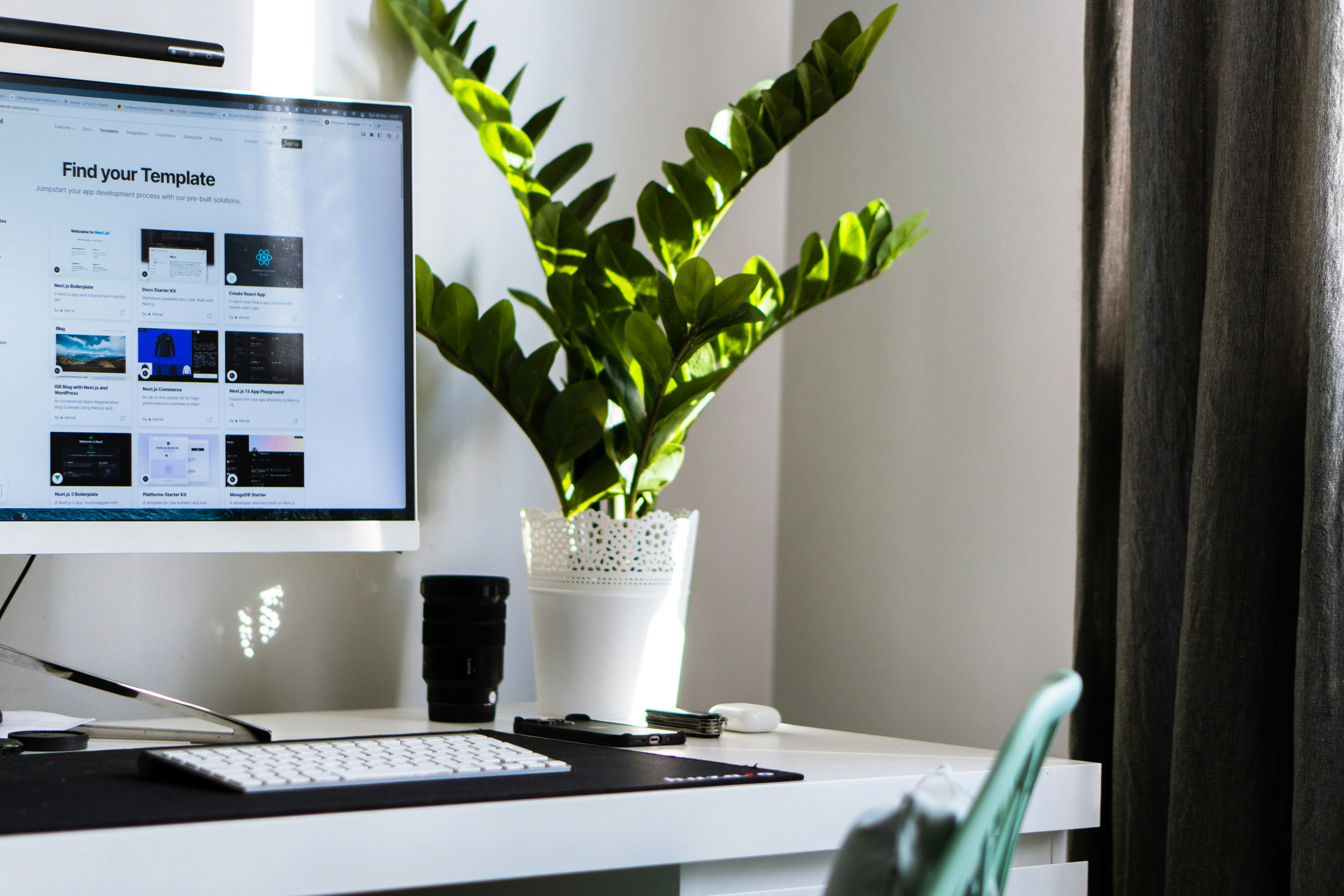 a plant in a pot on a desk
