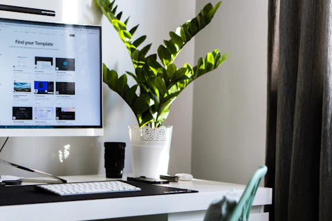 a plant in a pot on a desk with a computer & mobile phone nearby