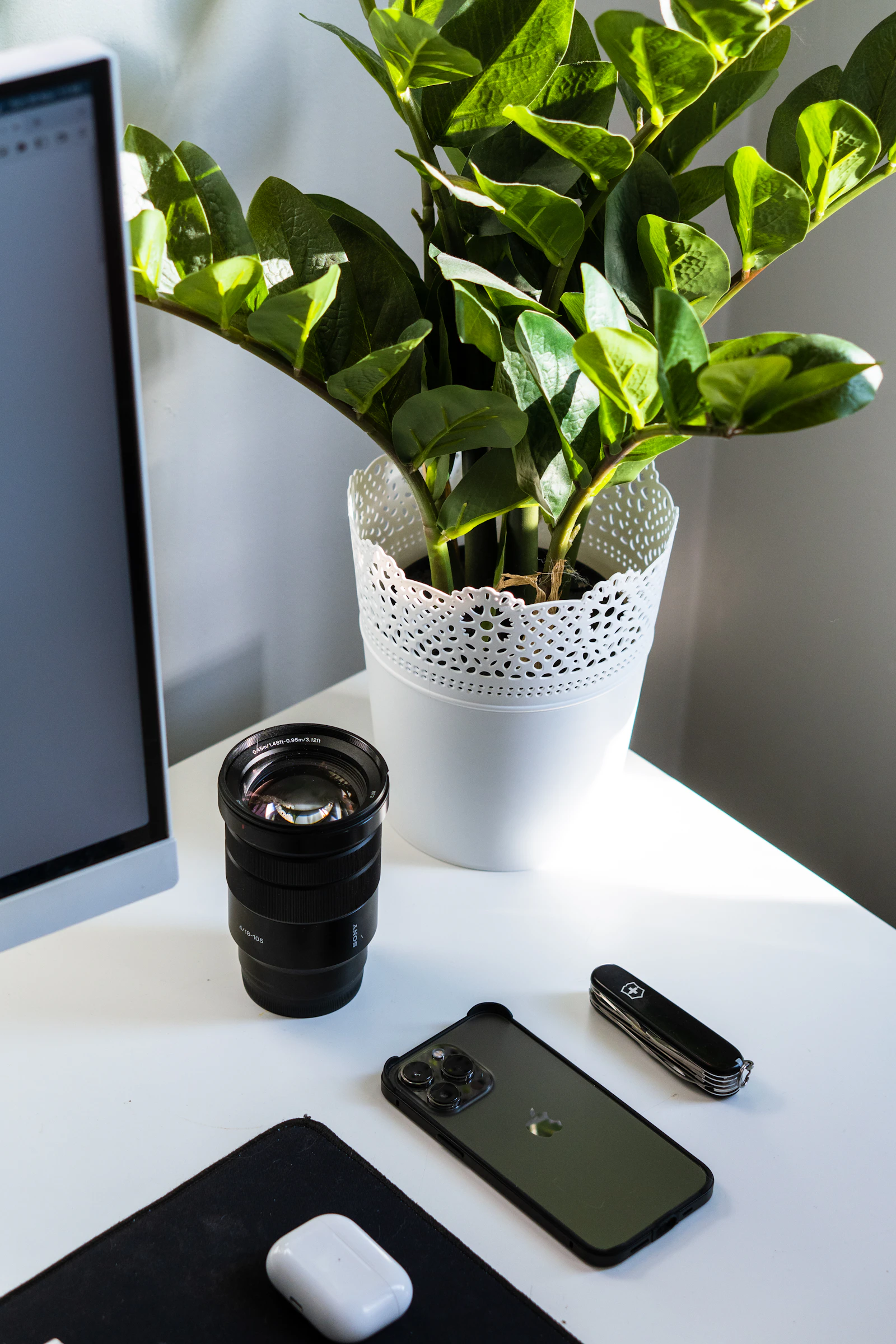 A bright white desk with a green plant and a few devices