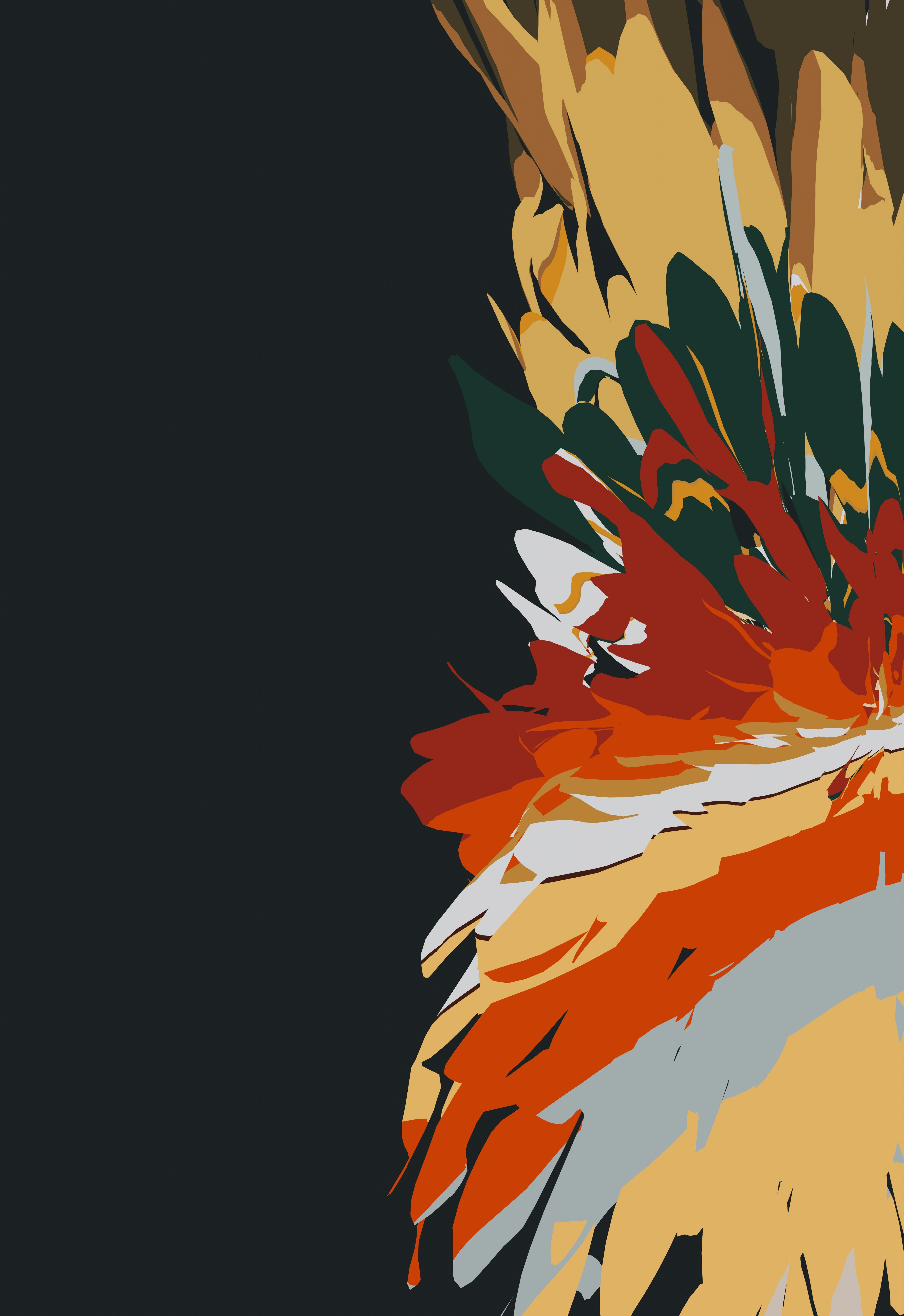 Photo by blenderdesigner