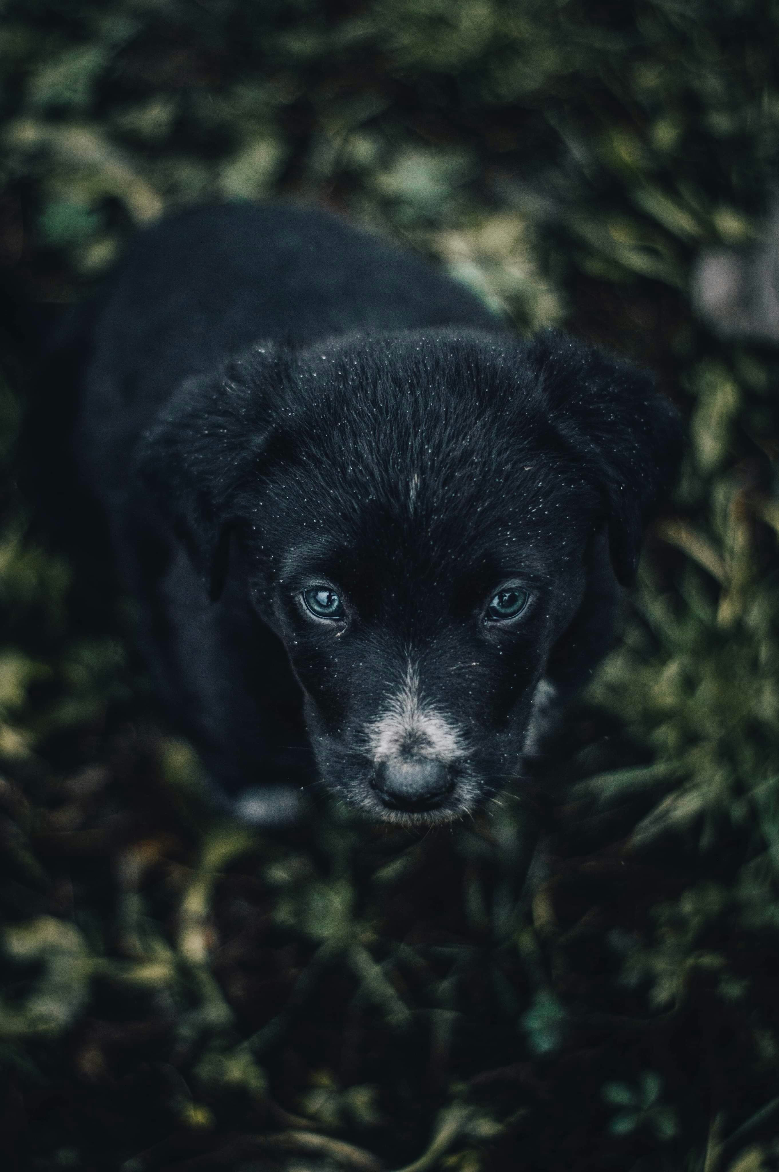 Photo by alex_emanuel20