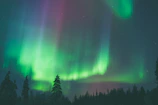 The vivid green and purple hues of the northern lights dancing above a snowy Finnish forest.