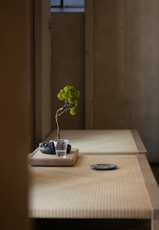 a small plant in a glass cup
