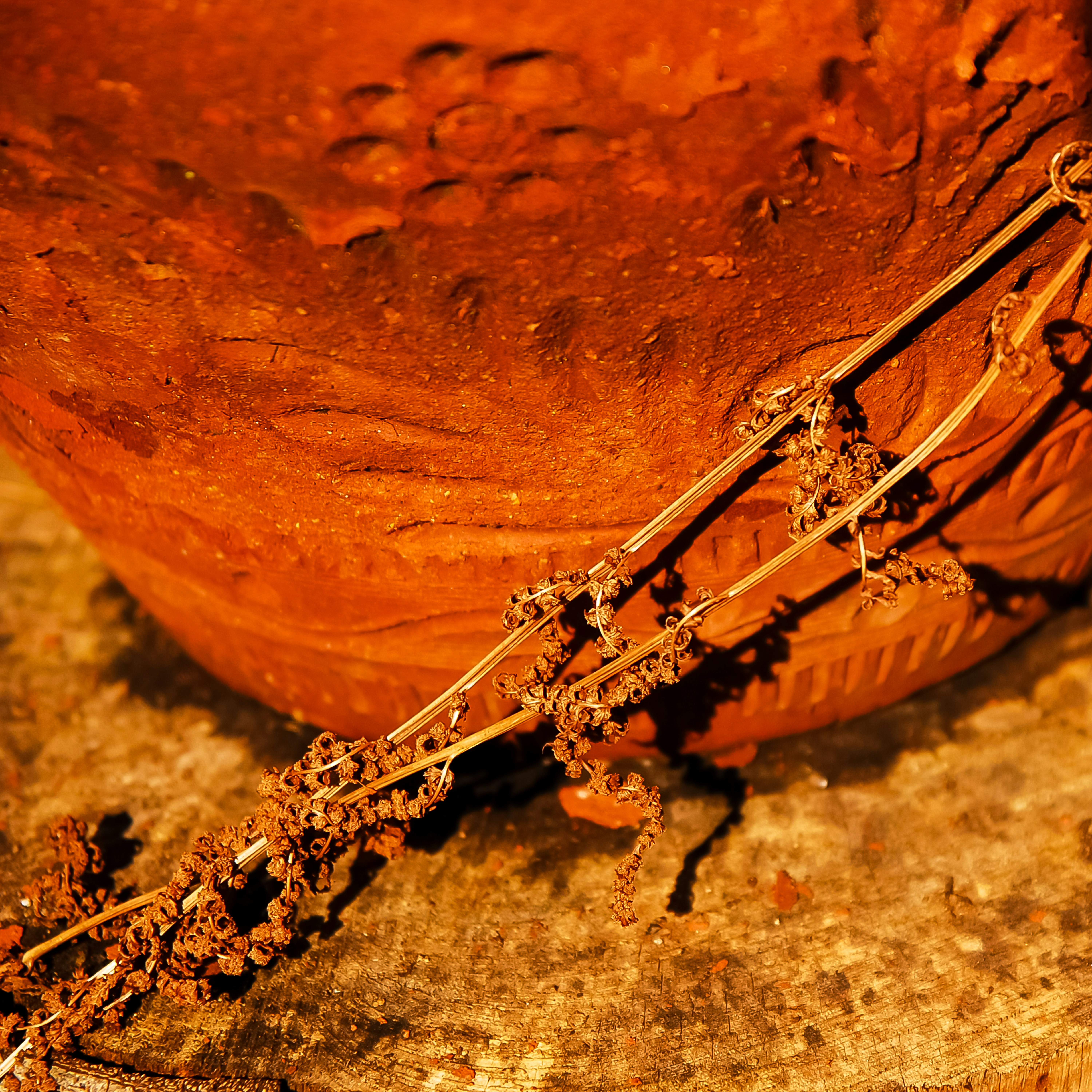 Sculptural Ceramic Vessel