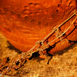 Close-up of a terracotta vase on a linen-covered tabletop with gentle morning light.