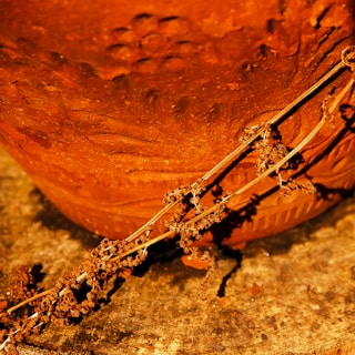 Close-up of earthy textured pottery with natural tones and subtle golden highlights.
