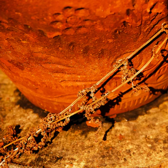 Close-up of a bronze pot with intricate ancient patterns glowing warmly in natural light