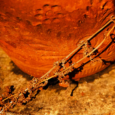 Close-up of a textured stoneware vase in warm orange tones, glowing in natural light.