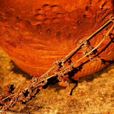 A close-up of a textured, reddish-brown clay pot with floral patterns, accompanied by a dried, curled vine resting nearby. The warm lighting accentuates the earthy tones, highlighting the intricate details of the pot and the vine.