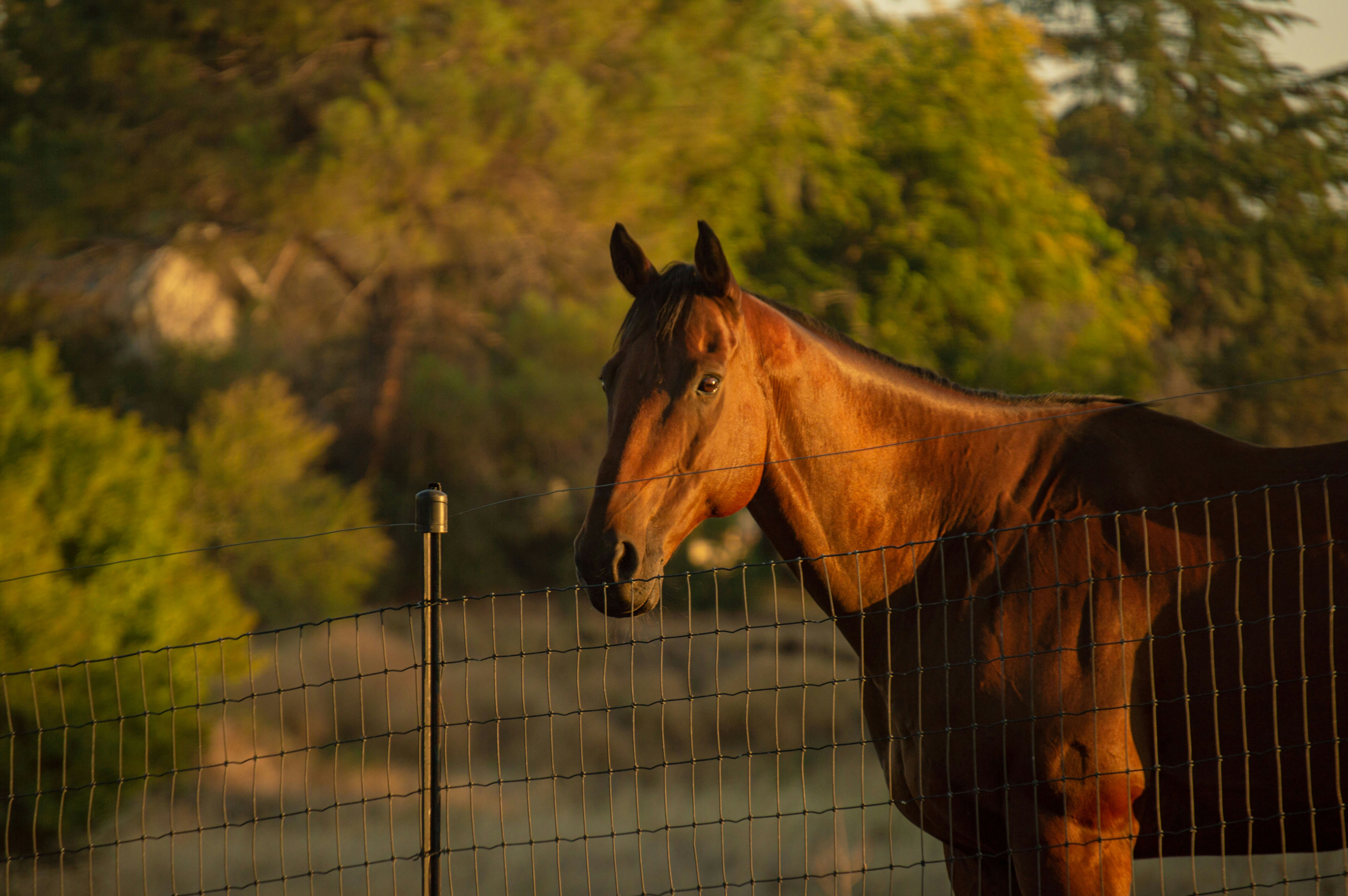 Photo by nathanmsdesigns