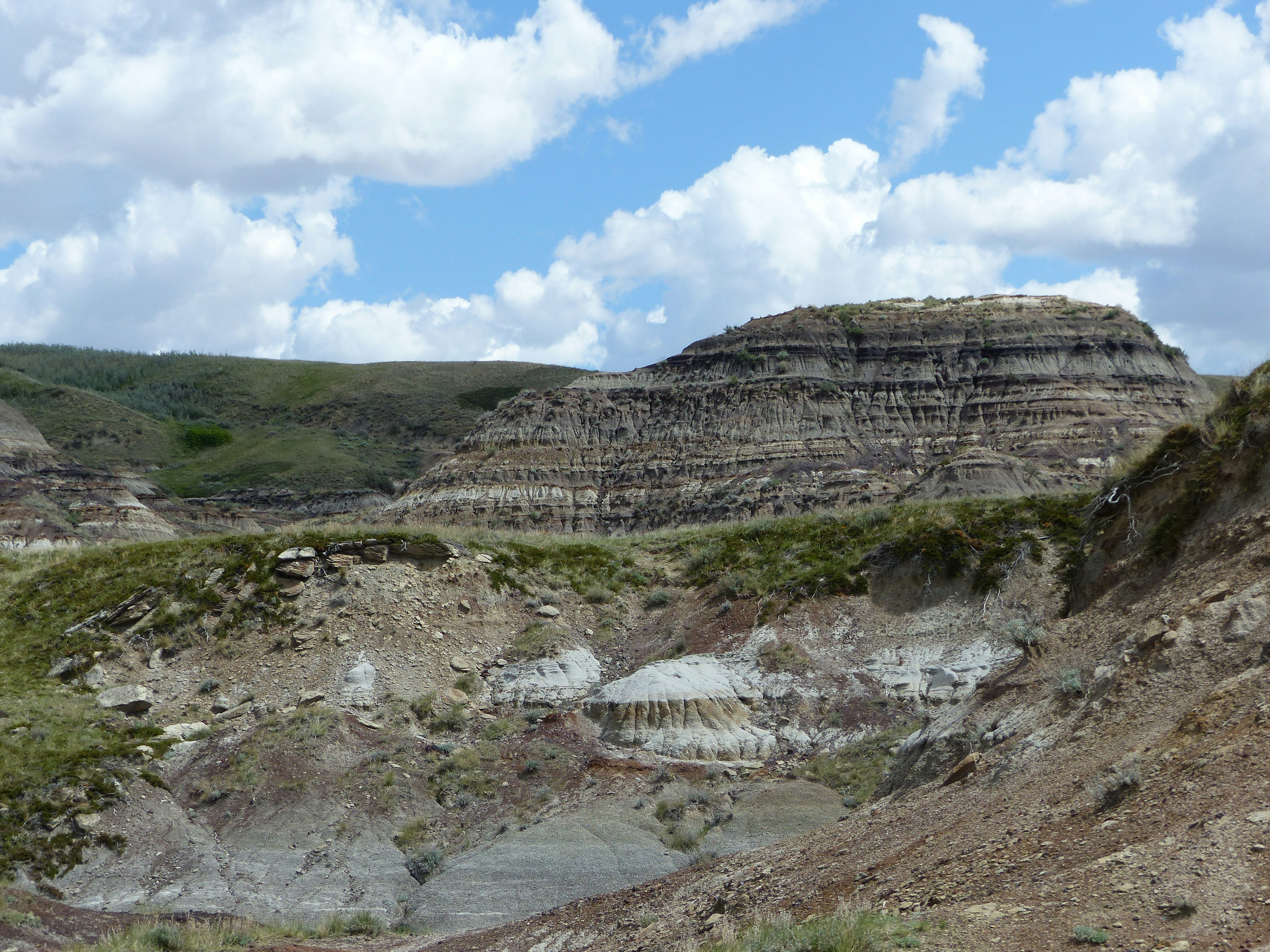 Kentland's Quarry Revelation (image credits: unsplash)