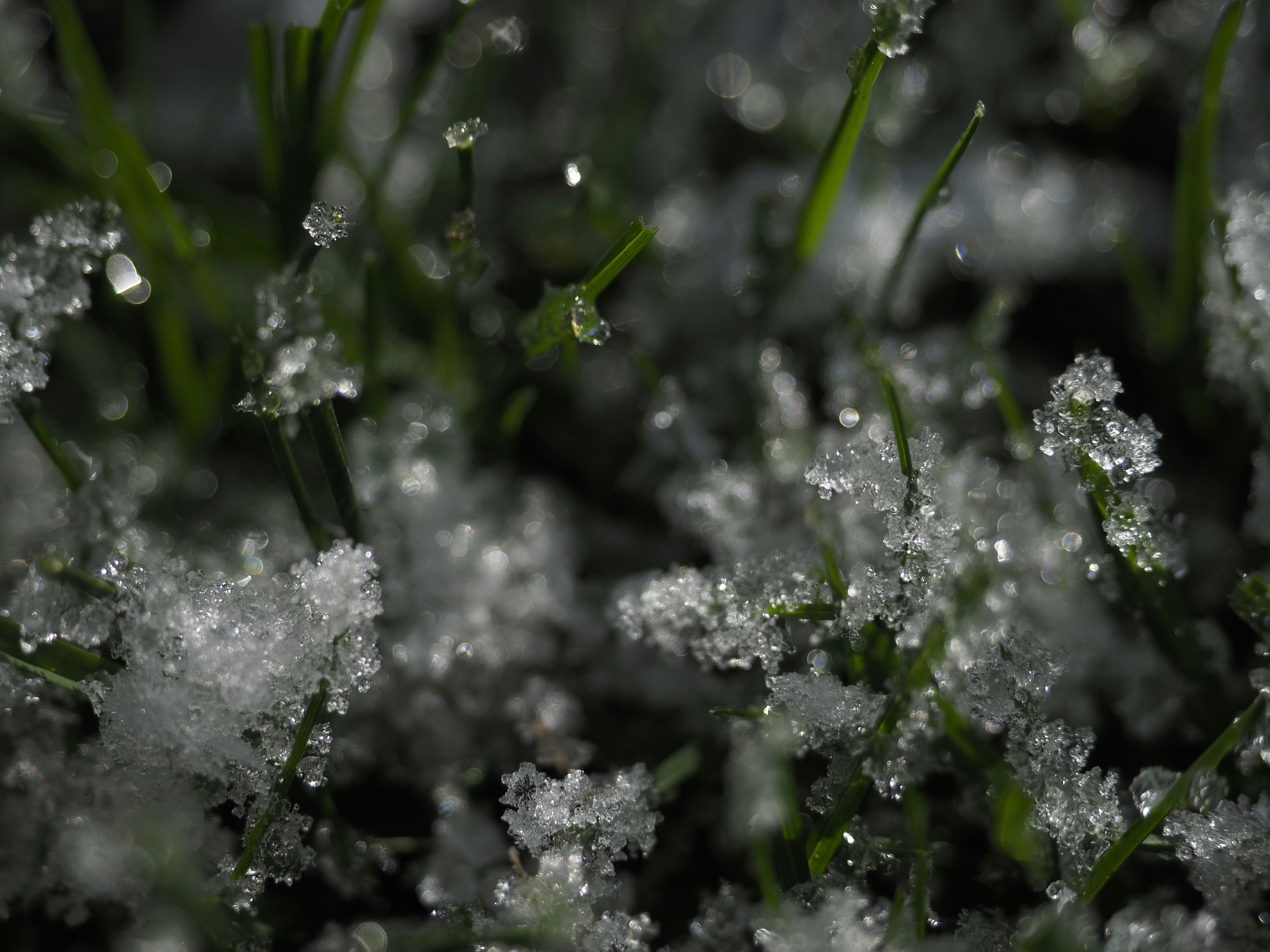 Photo by adelina_photos