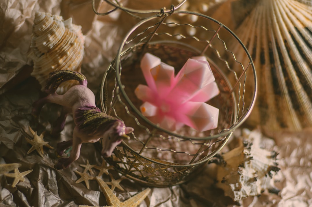 1BRING BACK MY EX LOVE SPELL +256703688661