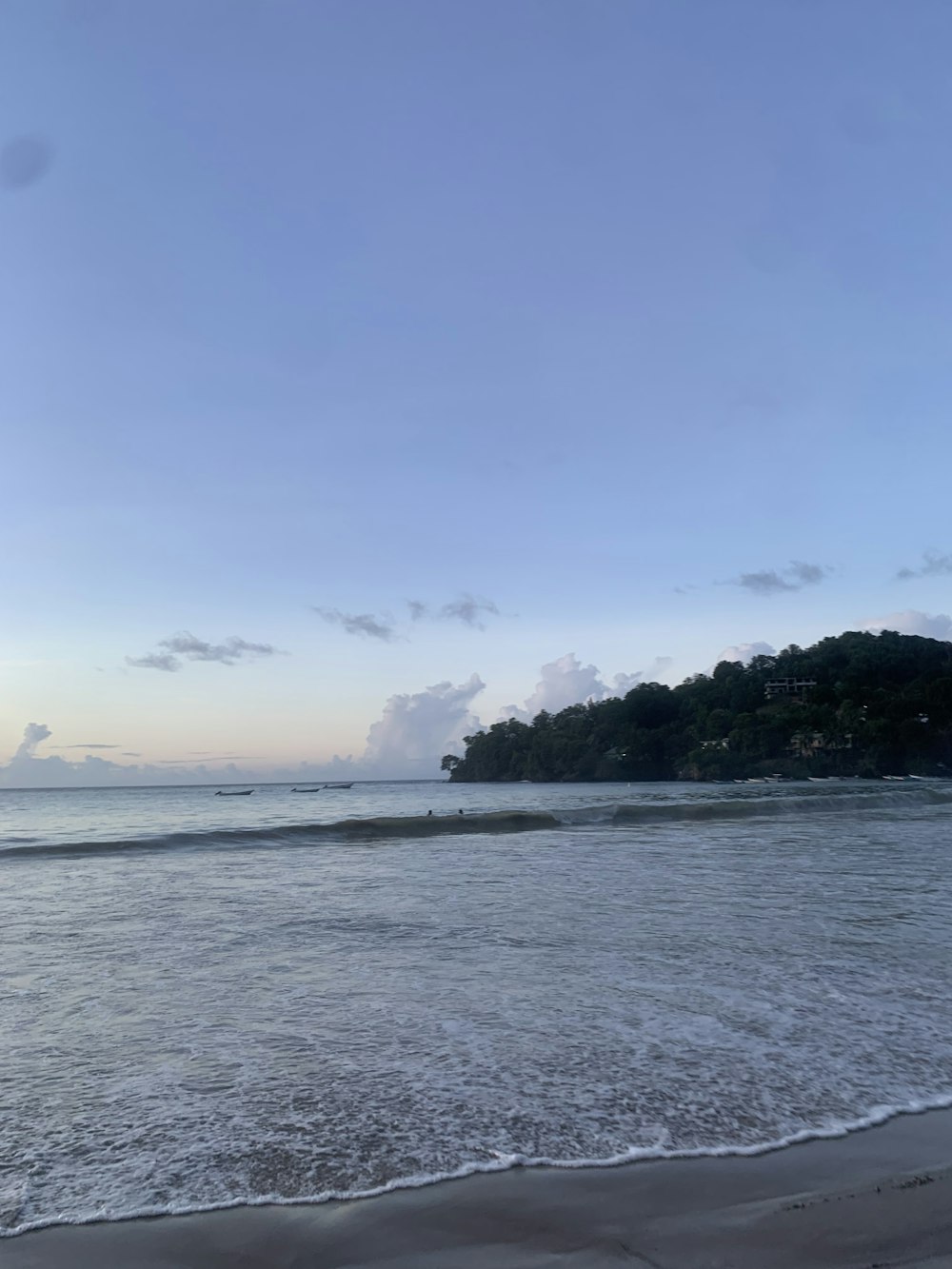 a beach with trees and a body of water