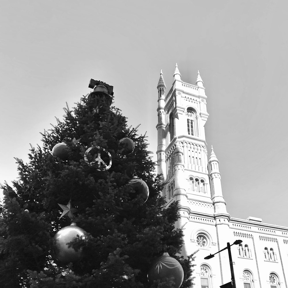 a tree in front of a church