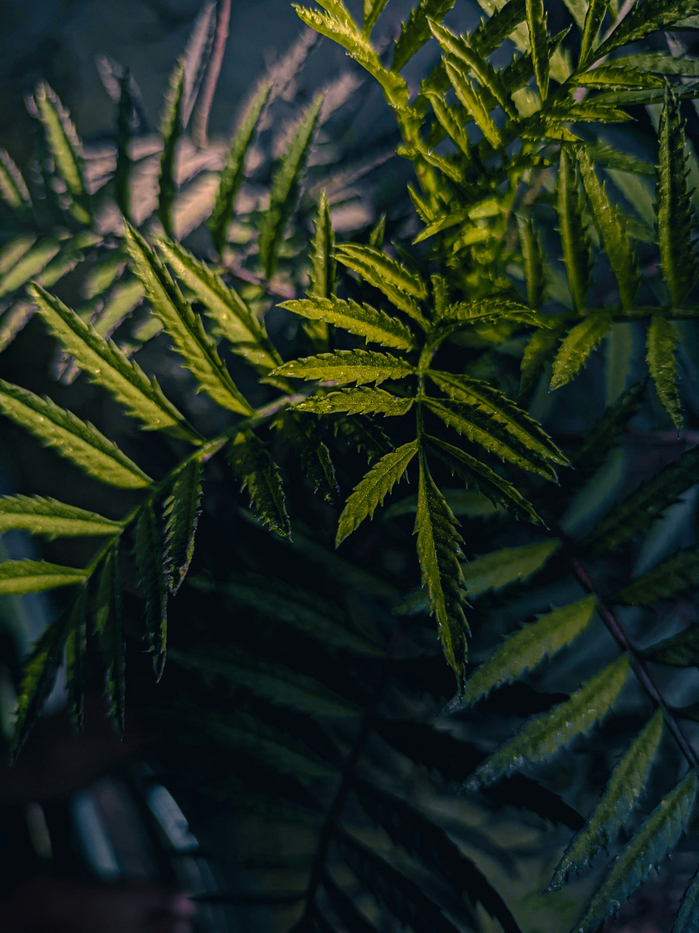 Photo by mandar_0261