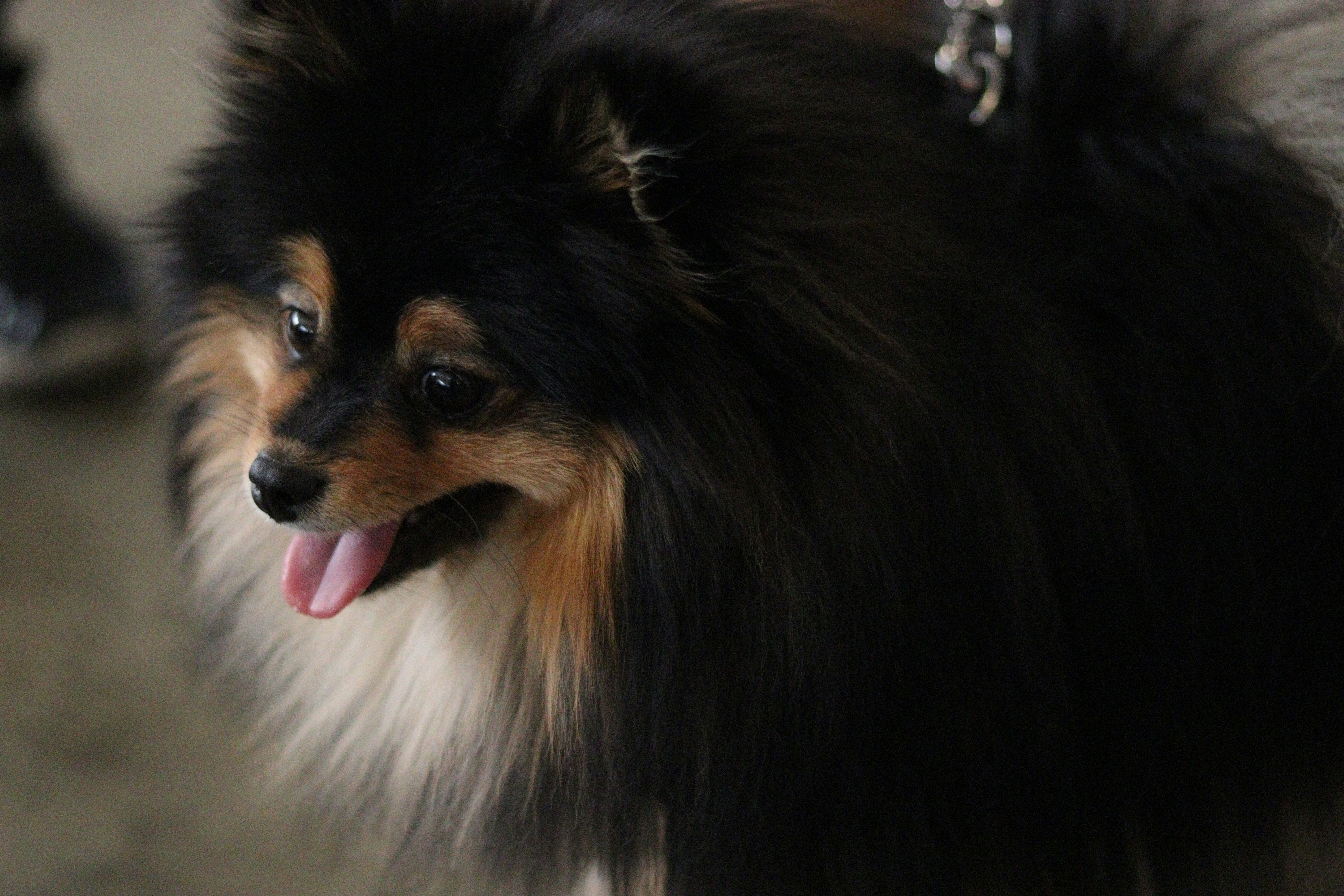 Photo by morrowsolutions