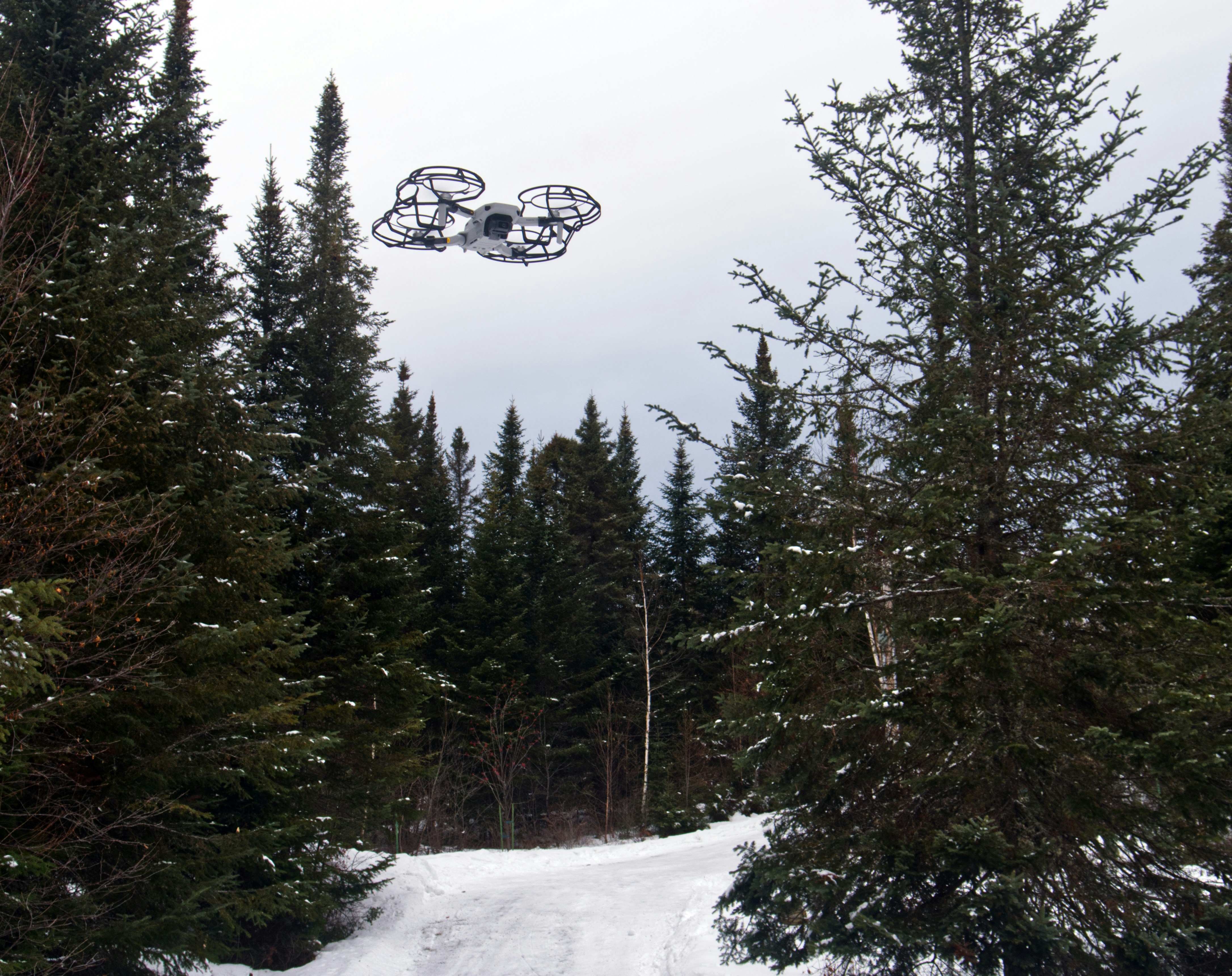 a ski lift going up a snowy hill with trees on the side