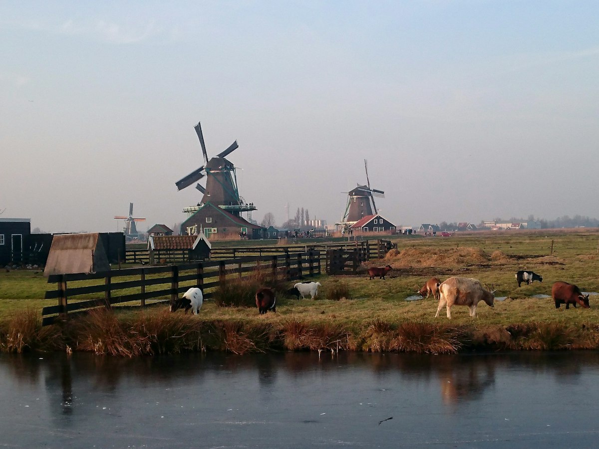 Zuivel van Zus