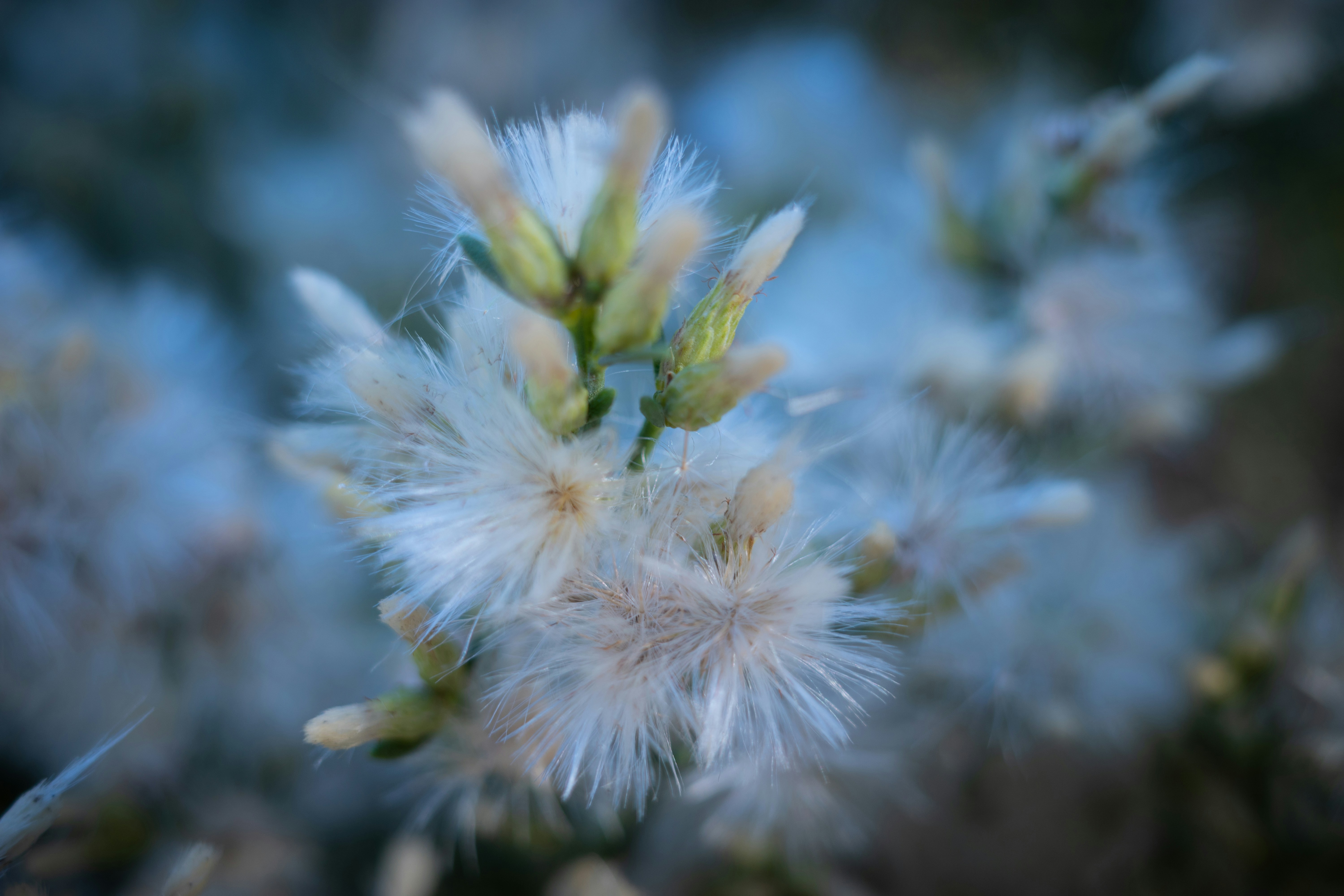 Photo by april_vasquez