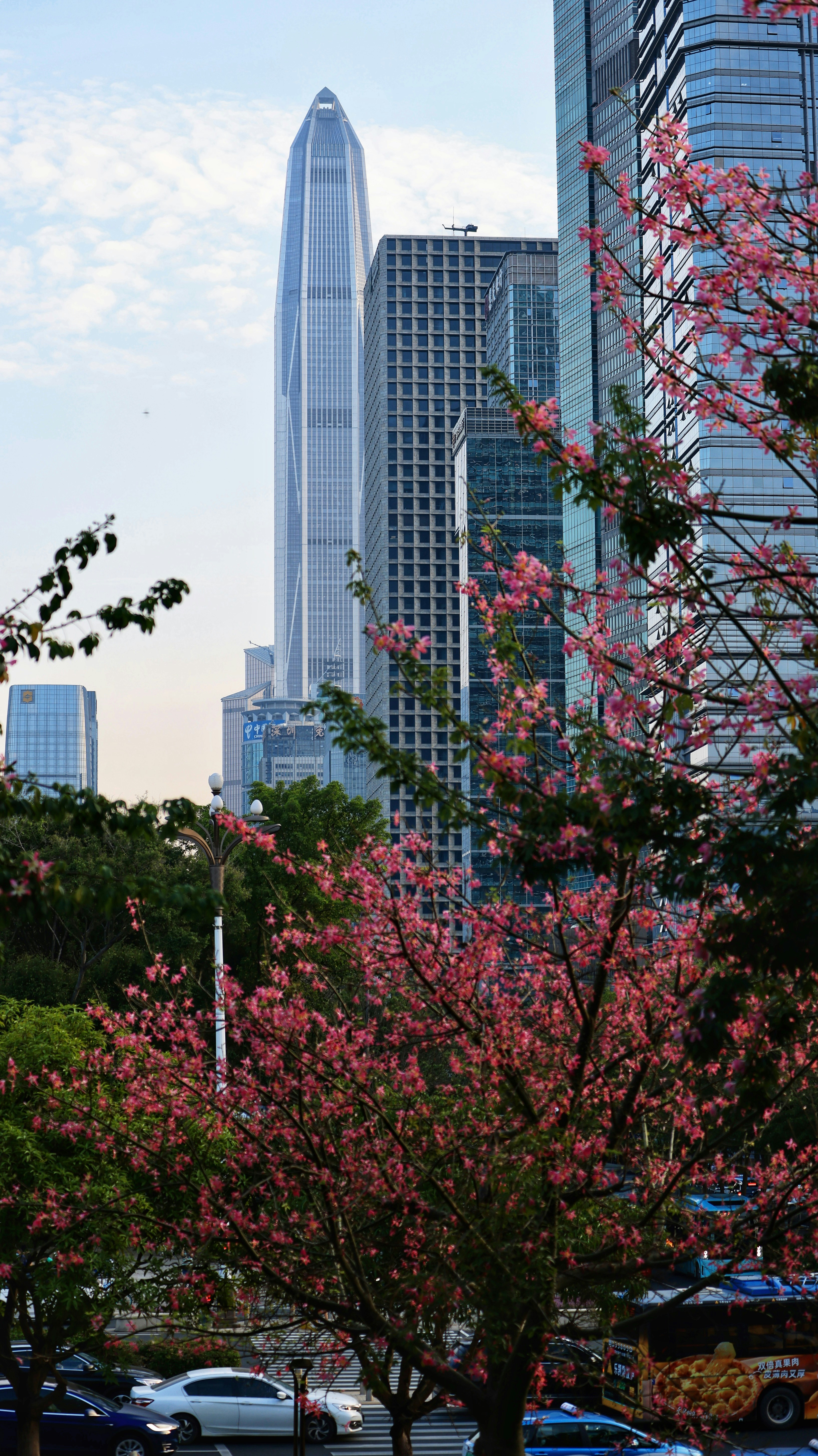 Containers in Spring Branch, TX