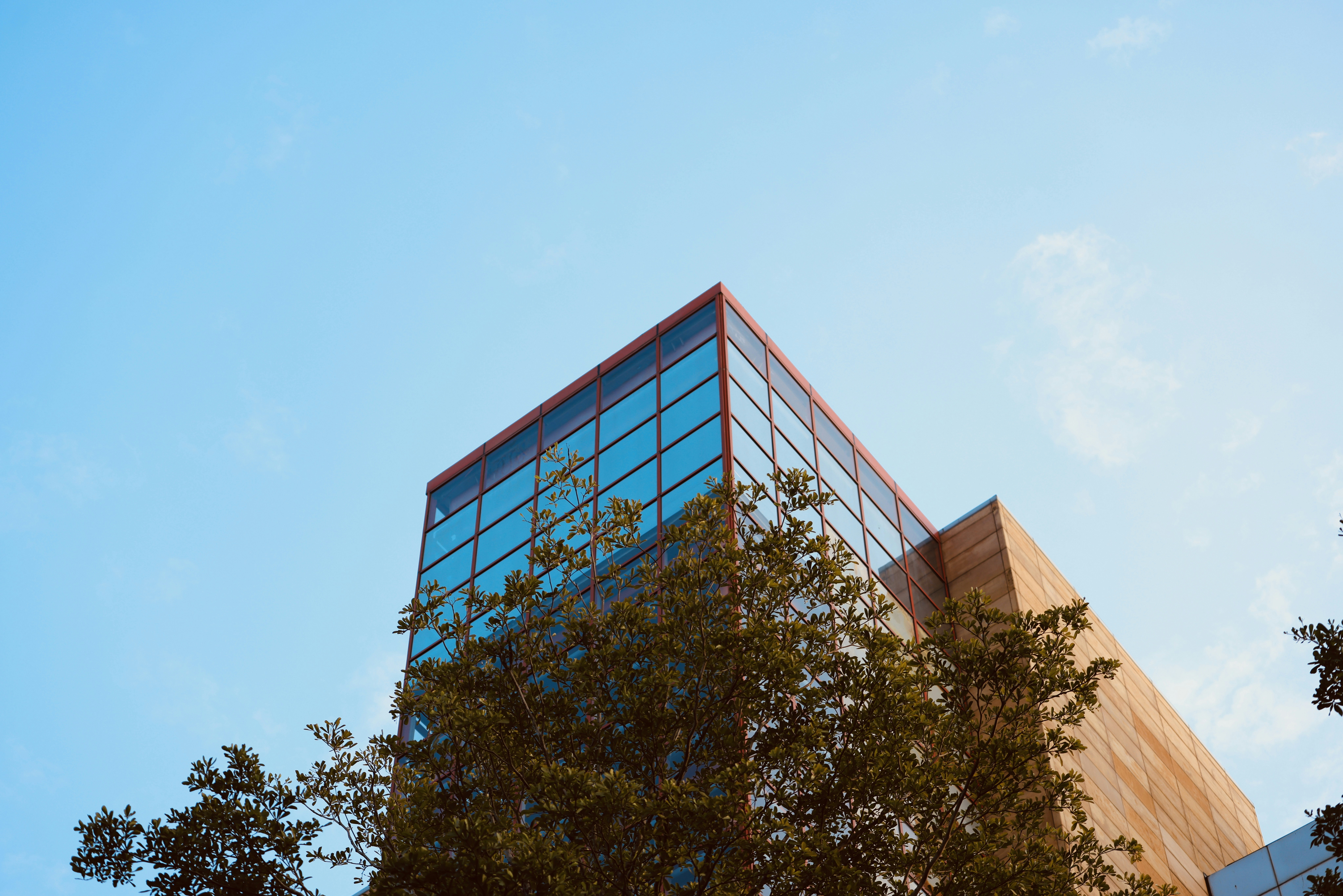 Photo by dickenslin76