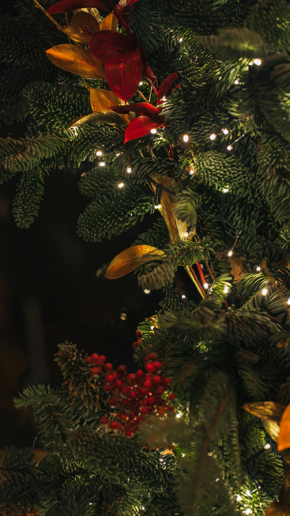 a tree with lights and ornaments