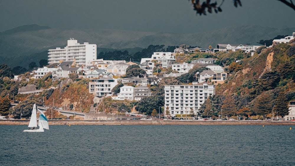 a body of water with a city on the other side of it