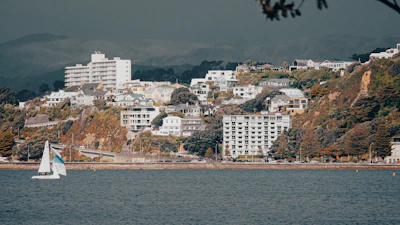 a body of water with a city on the other side of it
