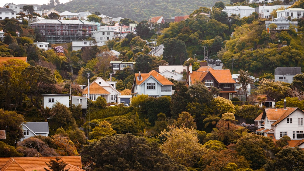 a group of houses in a wooded area