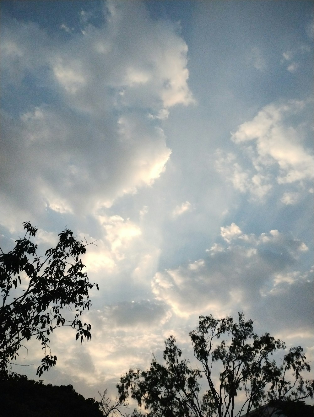 a cloudy sky with trees