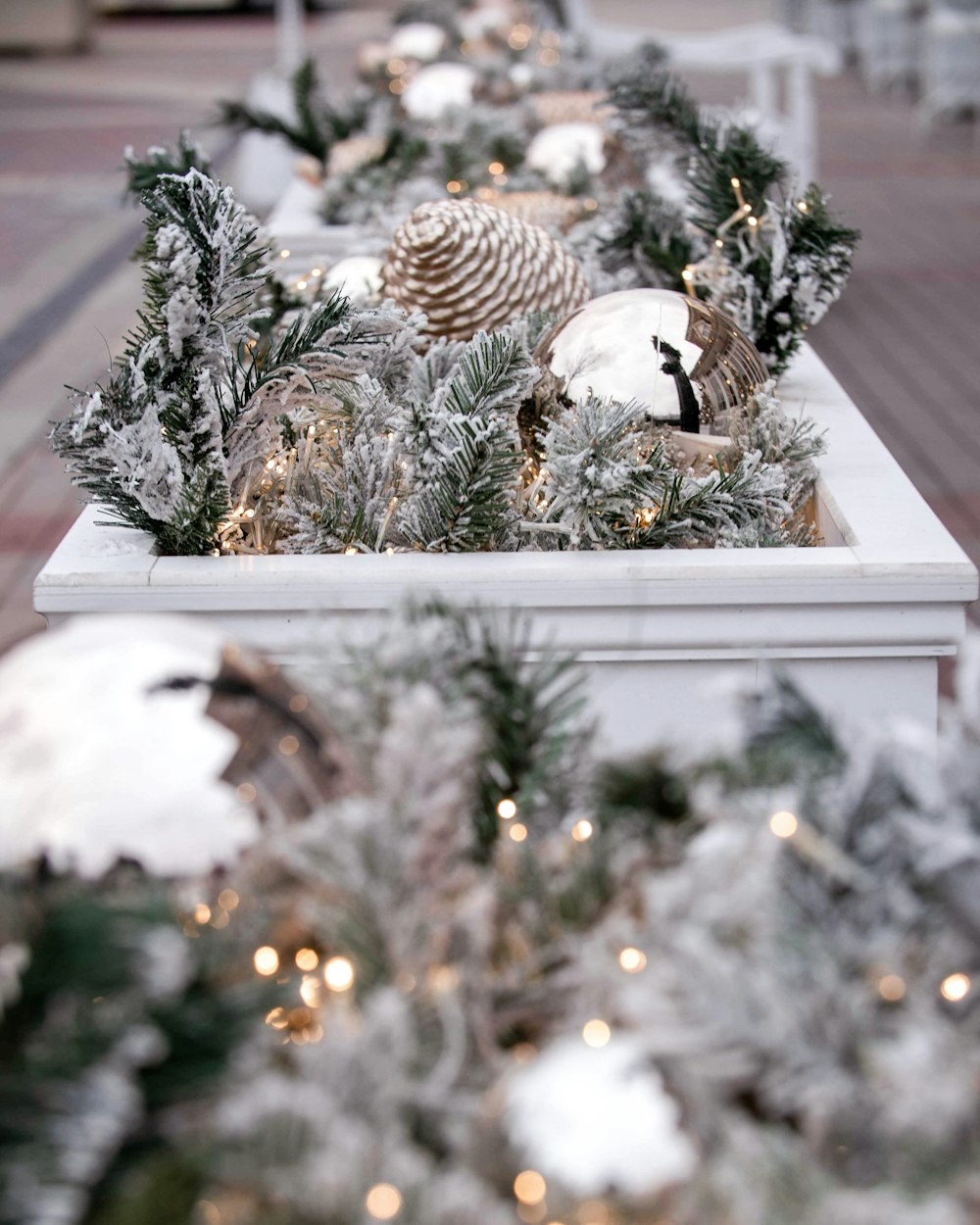 a group of pine cones and snow