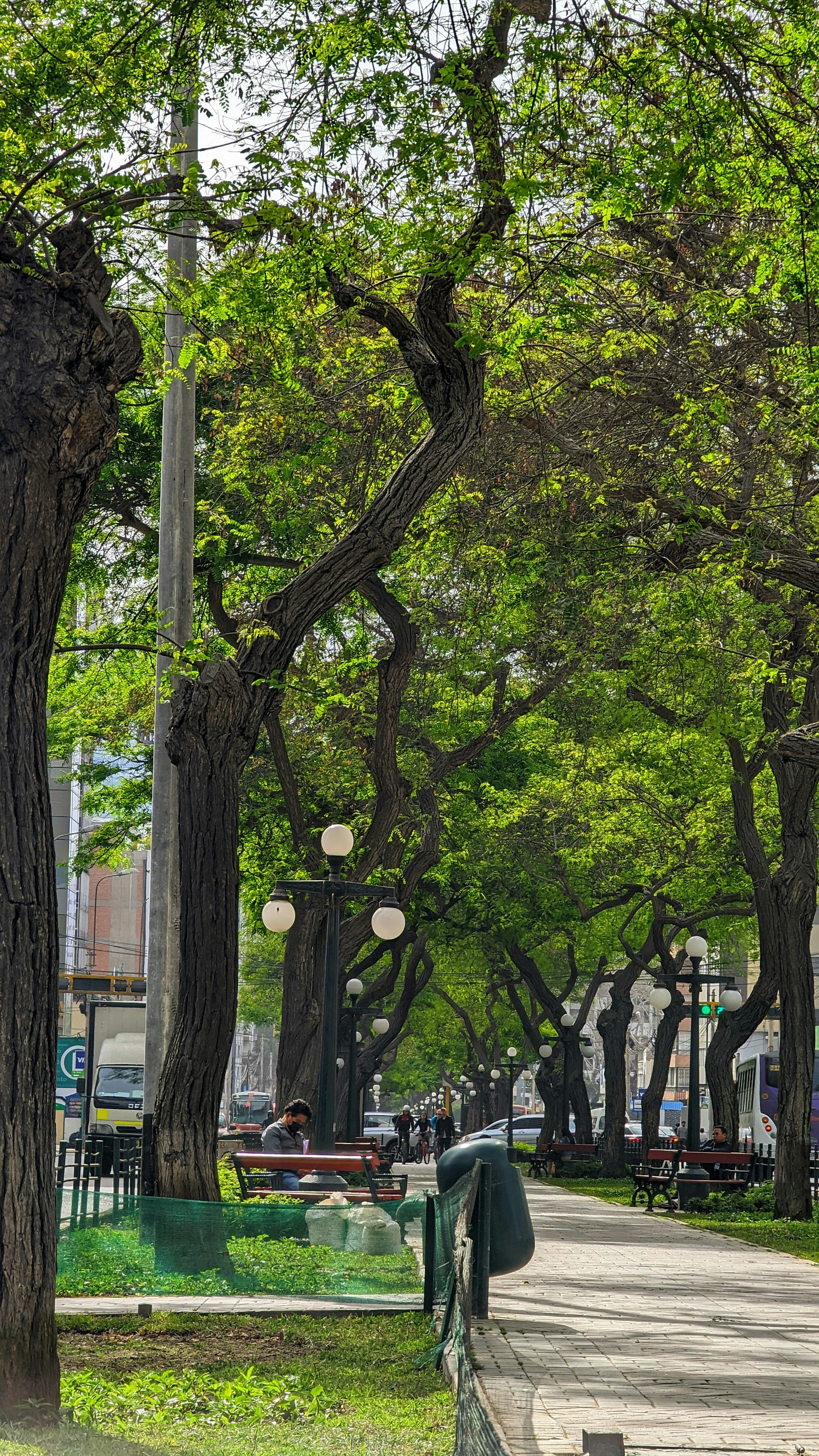 a person sitting on a bench in a park