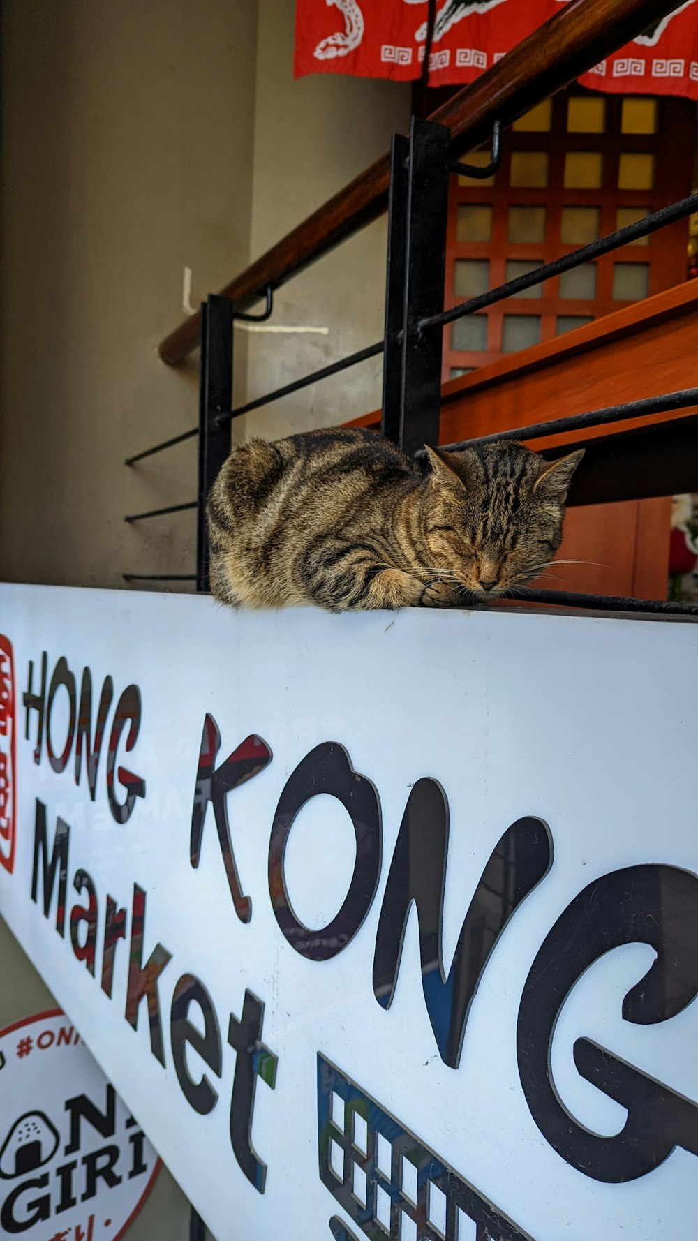 a cat sitting on a sign