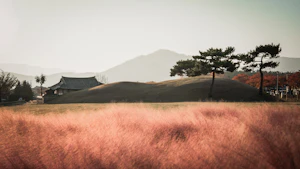 Jeonju