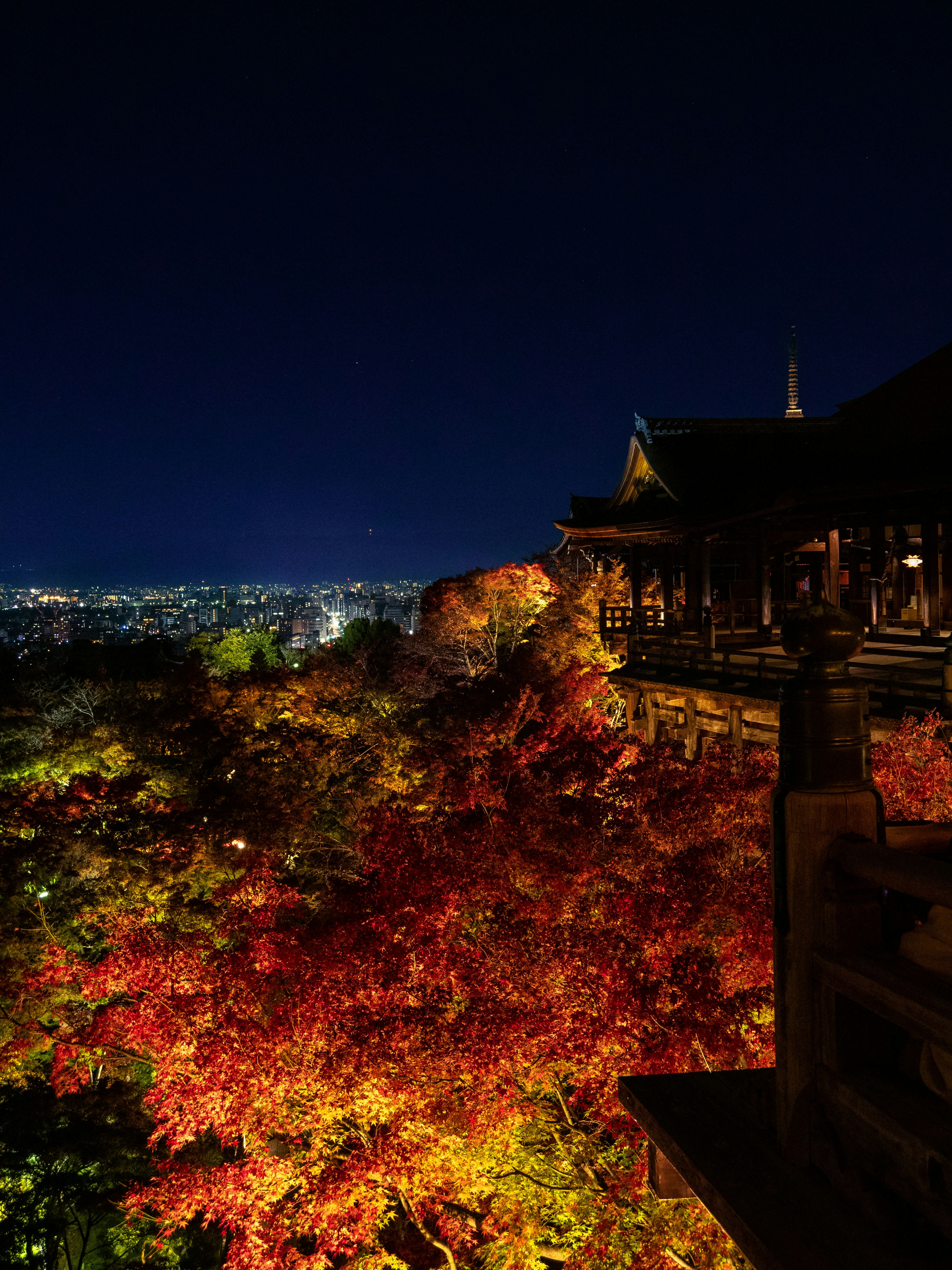 Photo by shellingfordyu