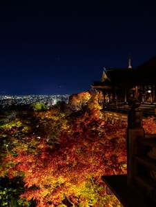 Elegant view of a traditional Kyoto temple at dusk with soft lighting and no people.