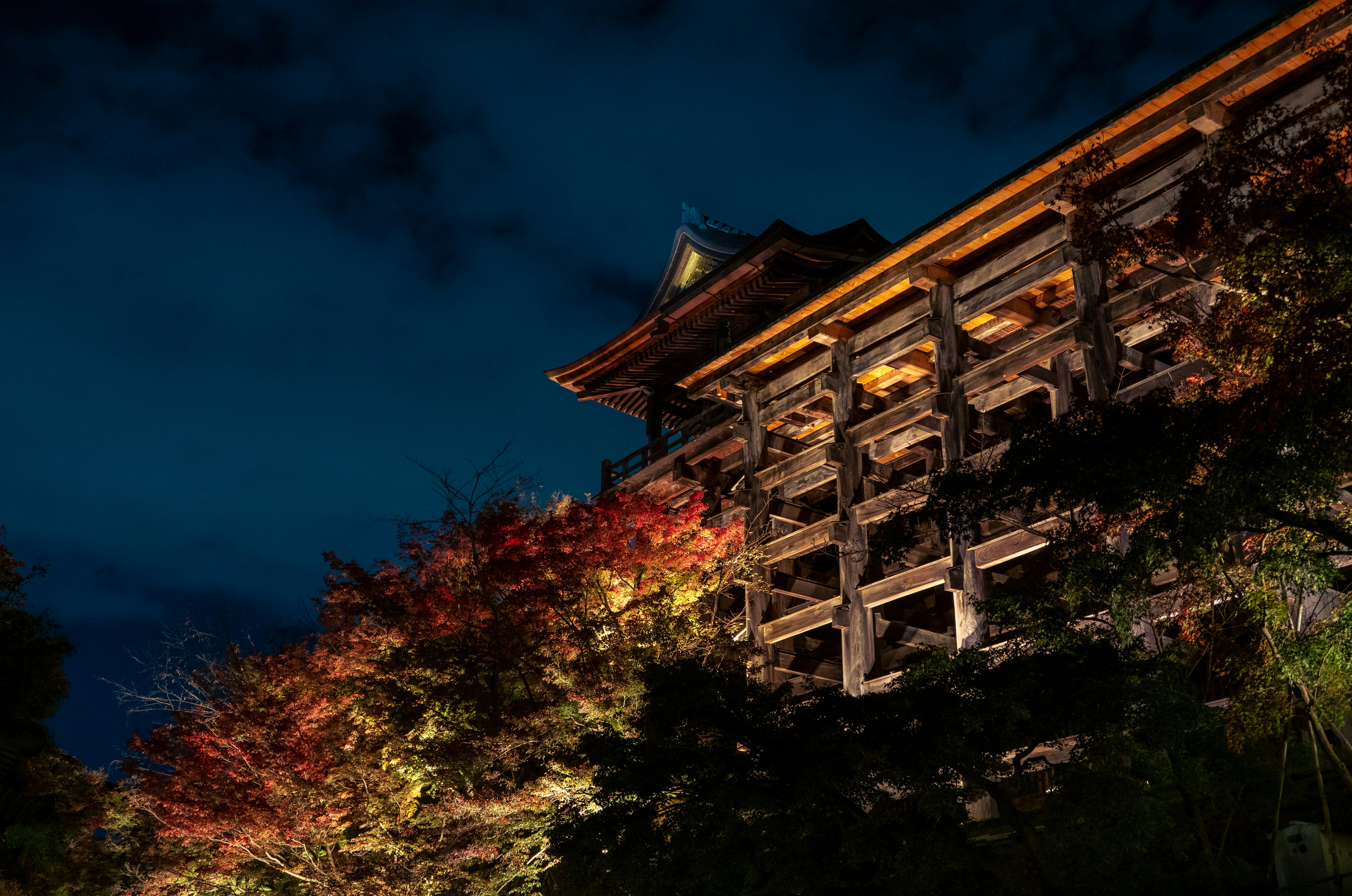 Photo by shellingfordyu