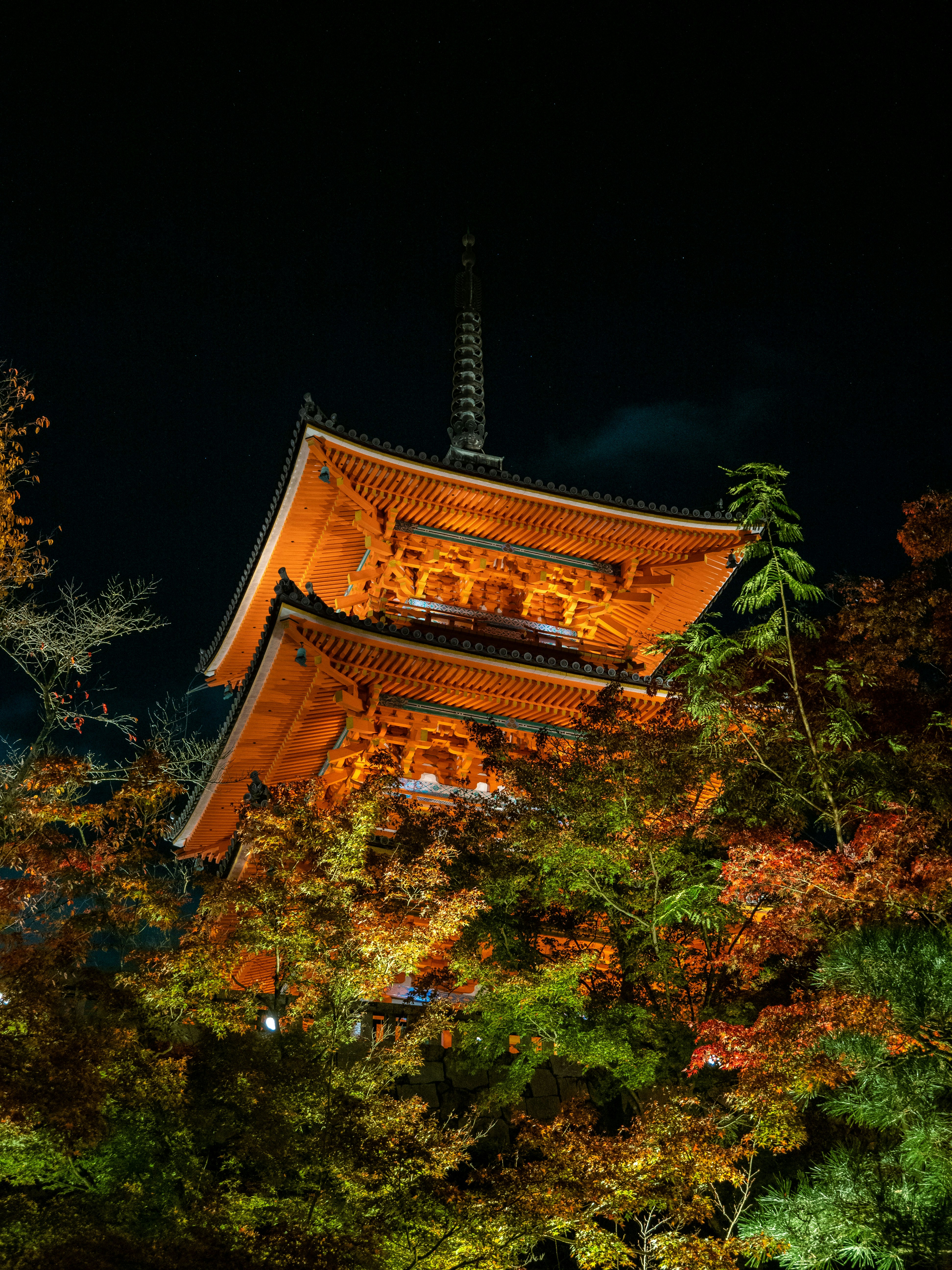 Photo by shellingfordyu