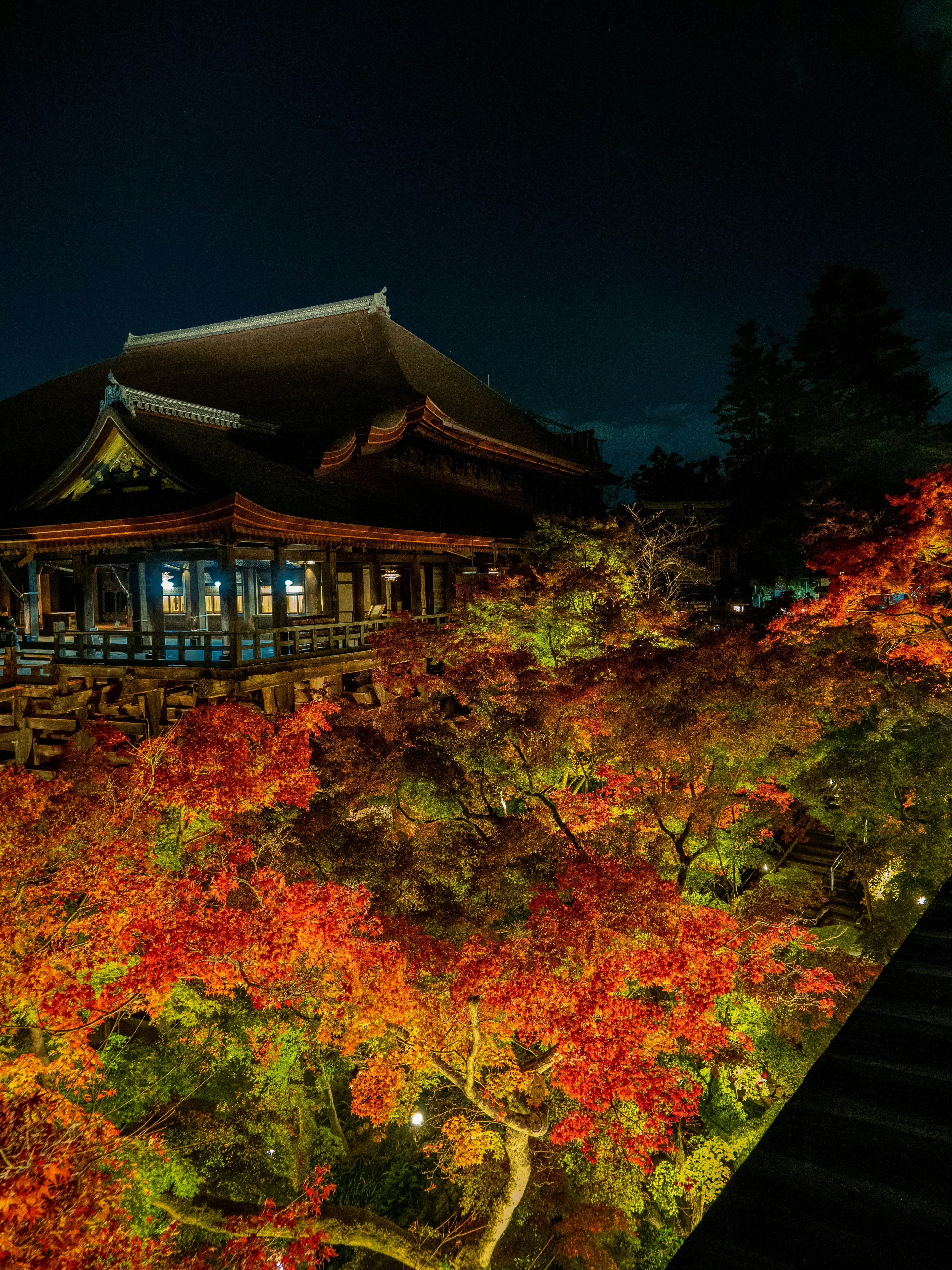 Photo by shellingfordyu