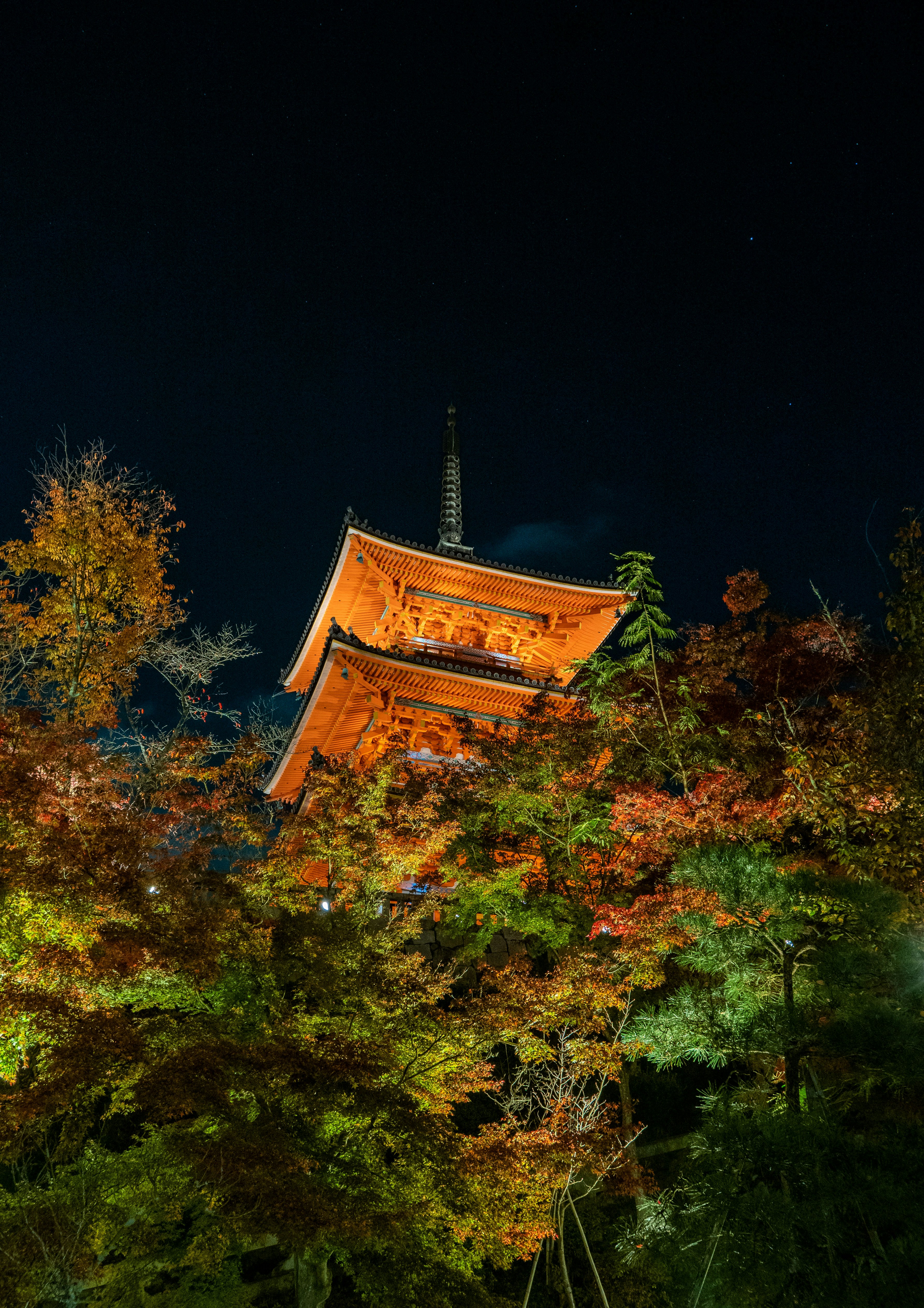 Photo by shellingfordyu