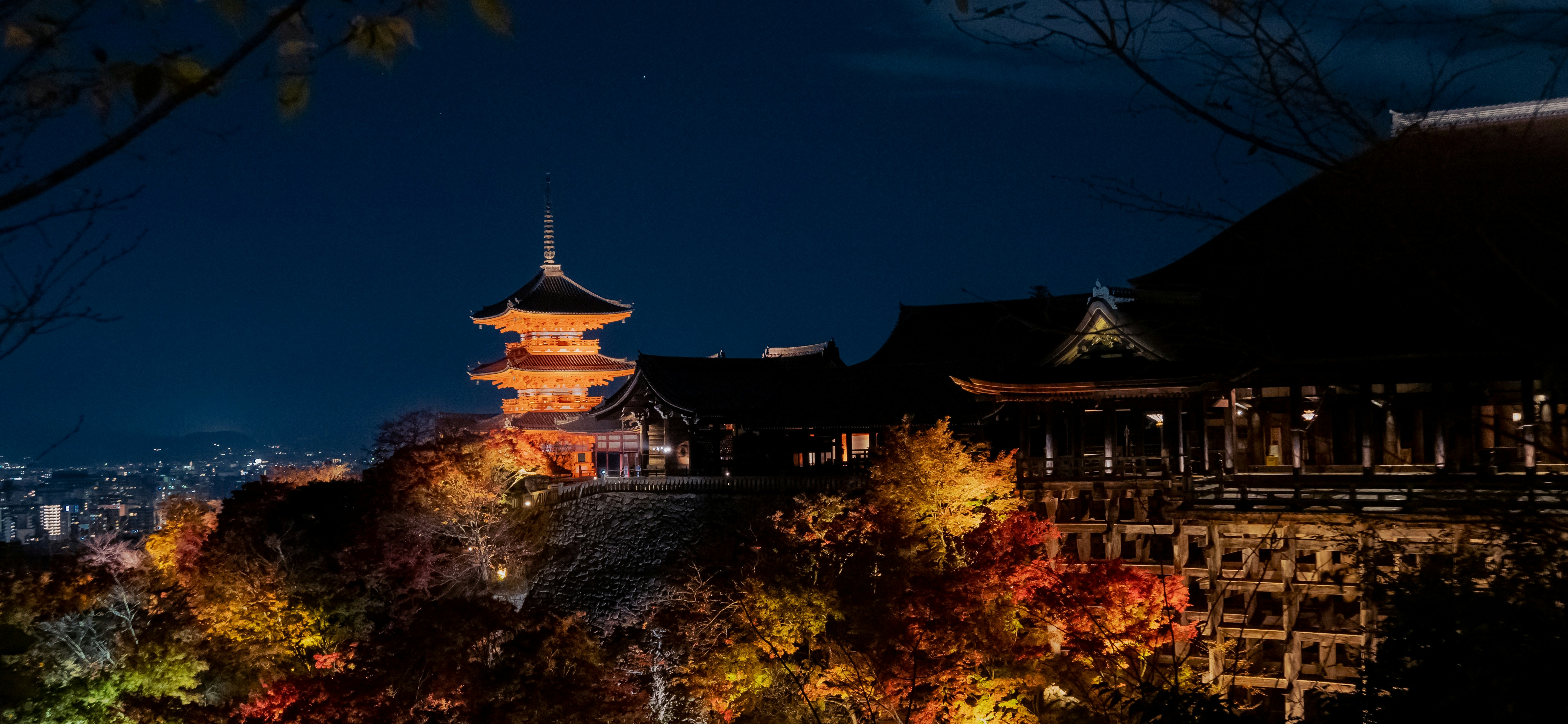 Photo by shellingfordyu