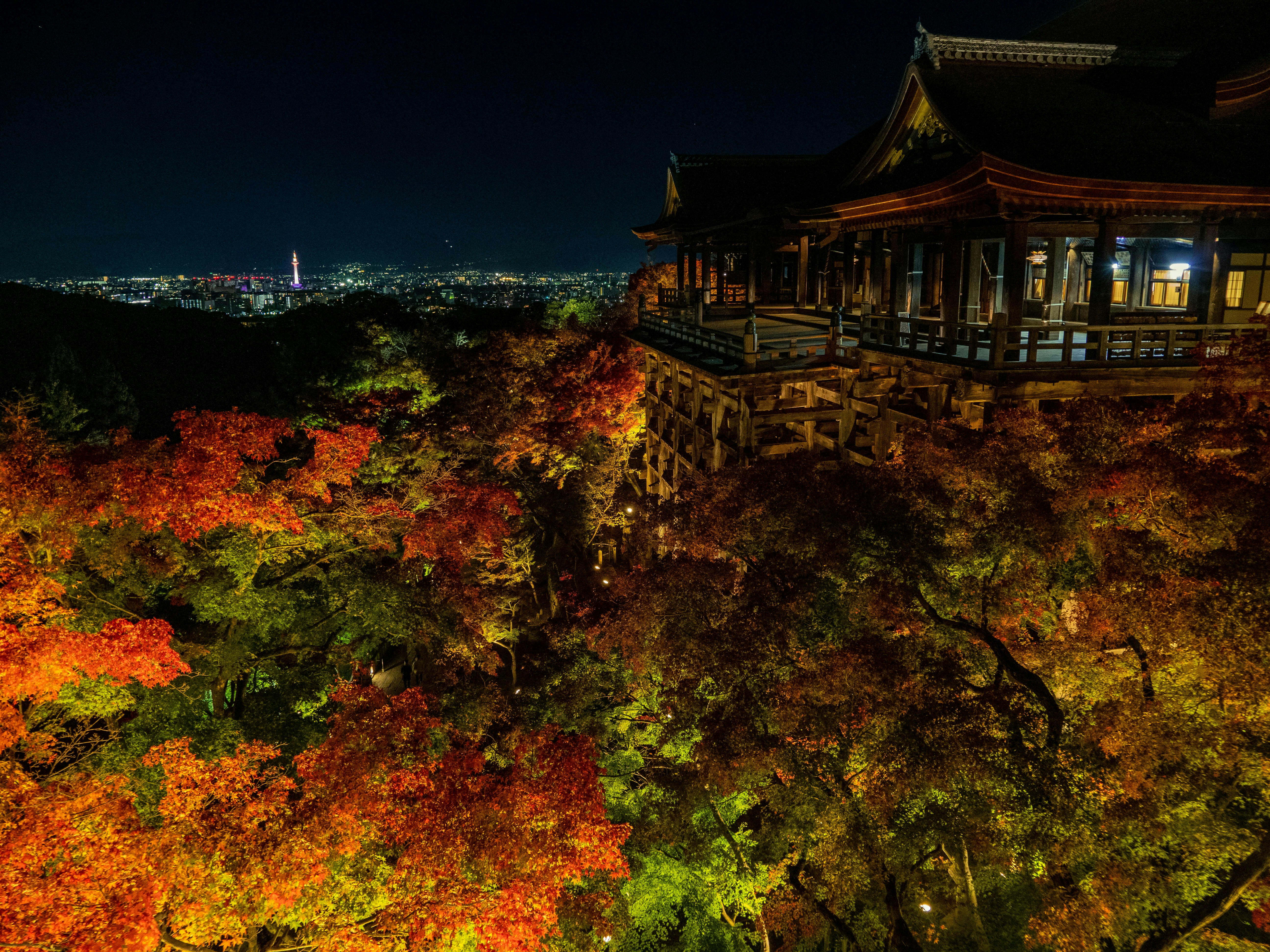 Photo by shellingfordyu