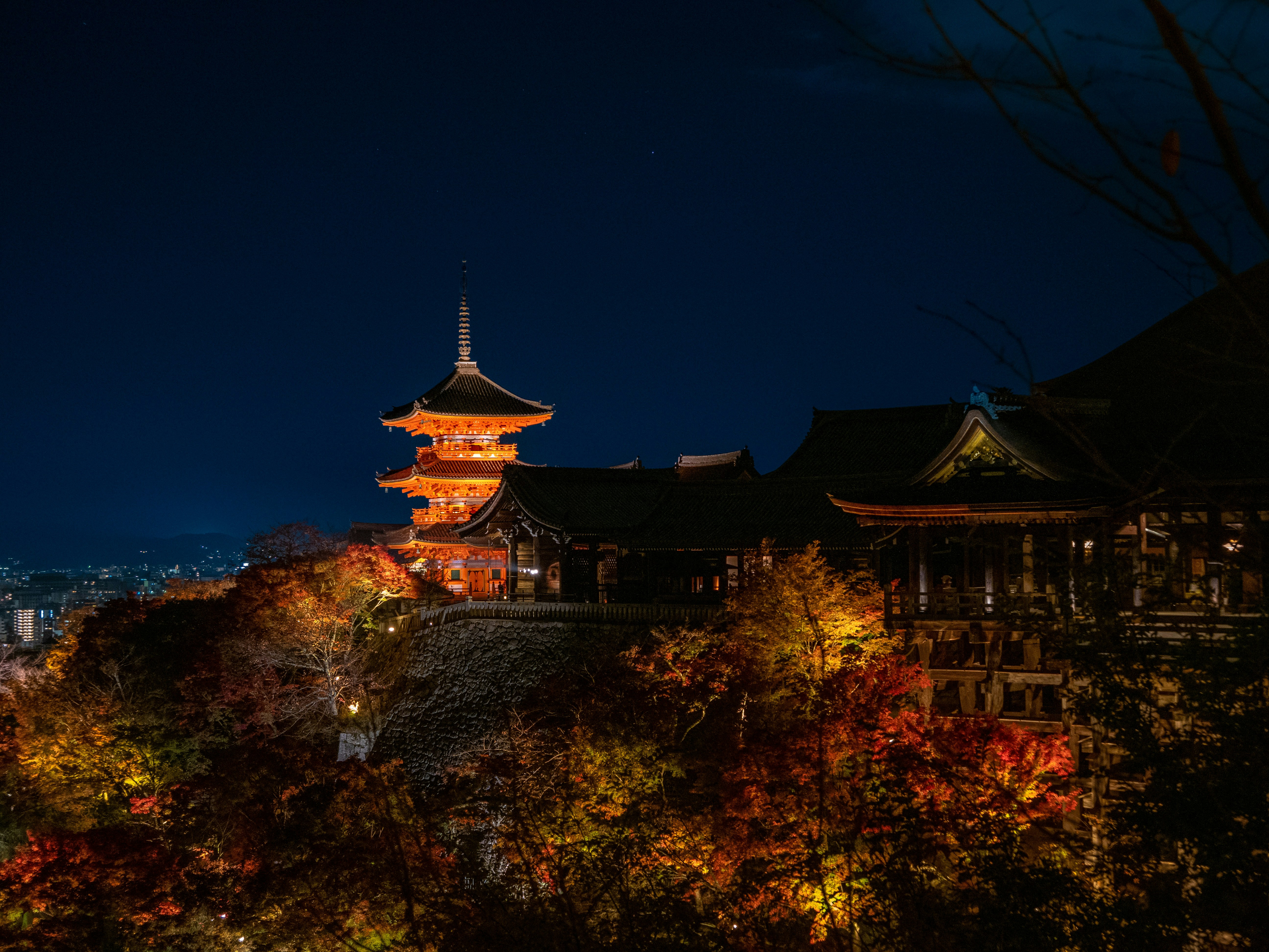 Photo by shellingfordyu