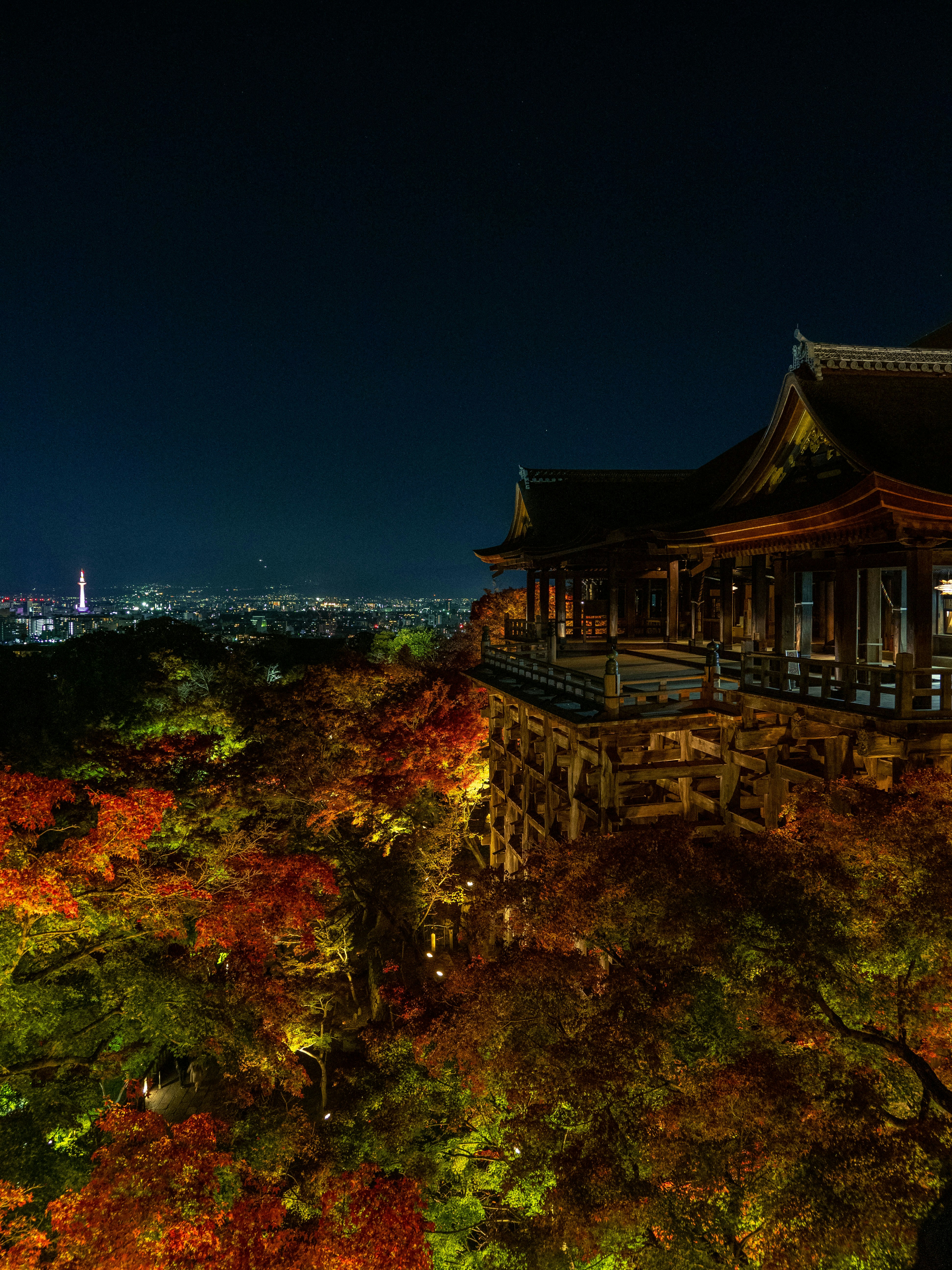 Photo by shellingfordyu