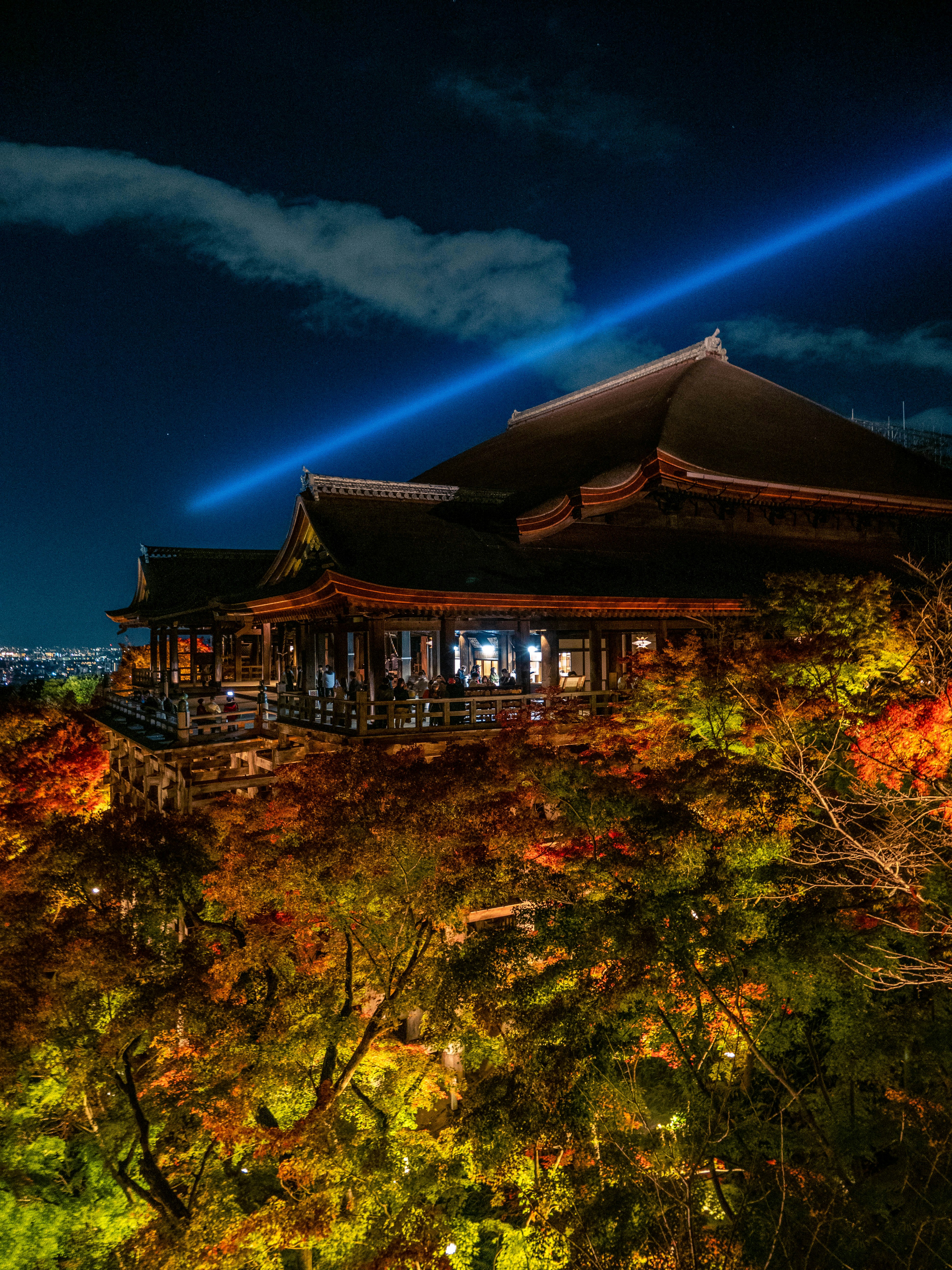 Photo by shellingfordyu