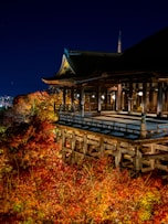 Kiyomizu-dera with a pool and trees around it