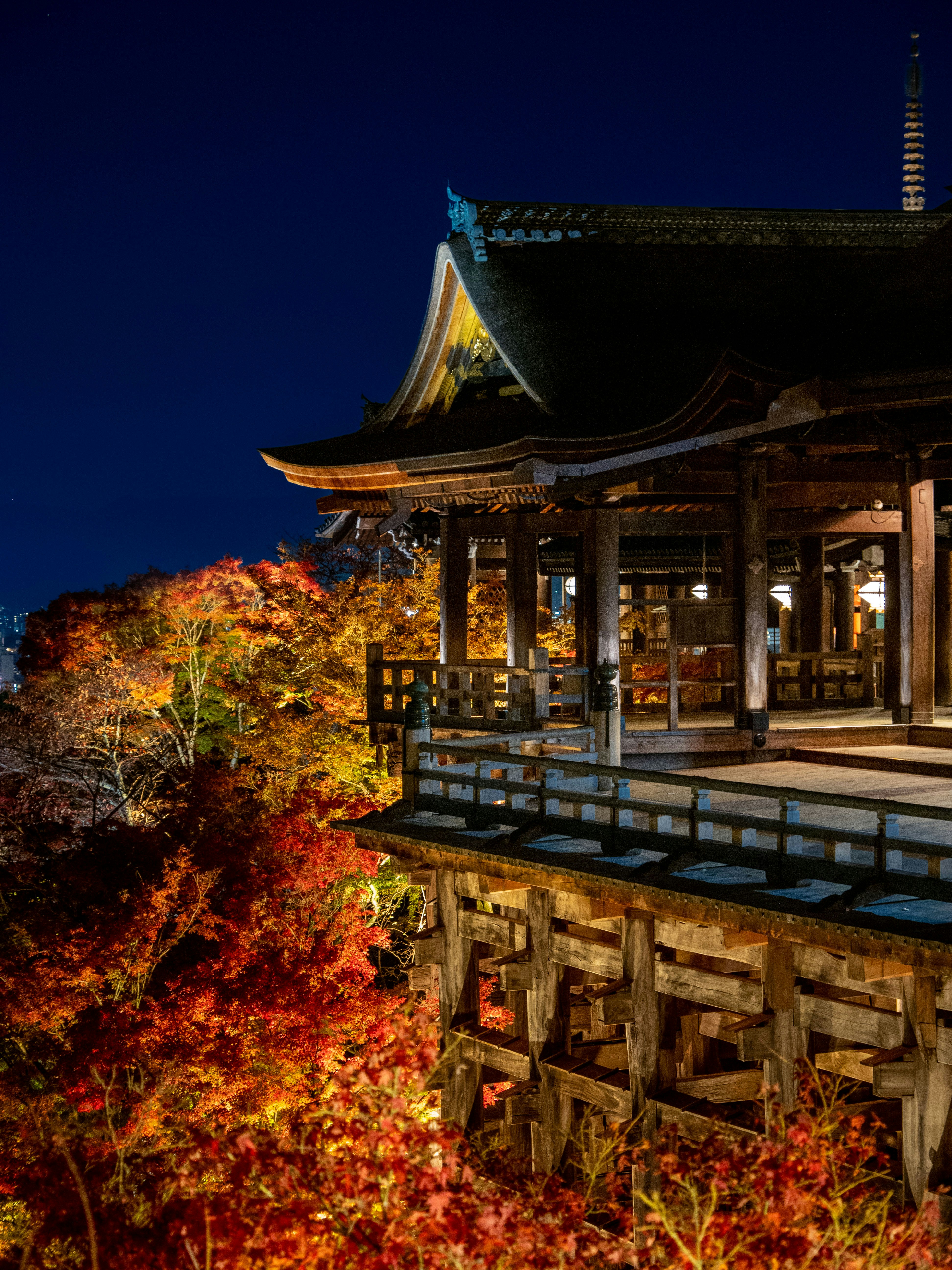 Photo by shellingfordyu