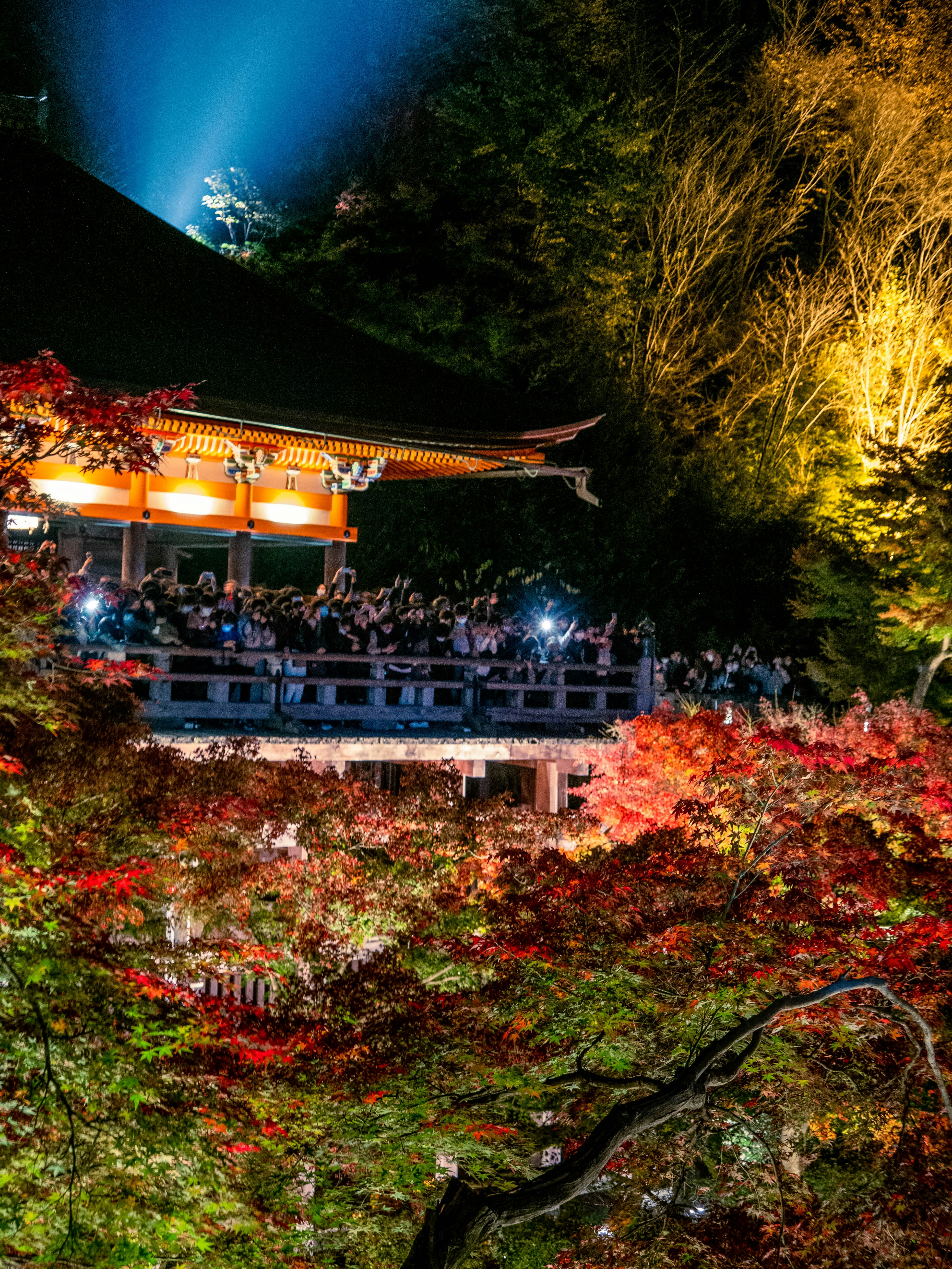 Photo by shellingfordyu